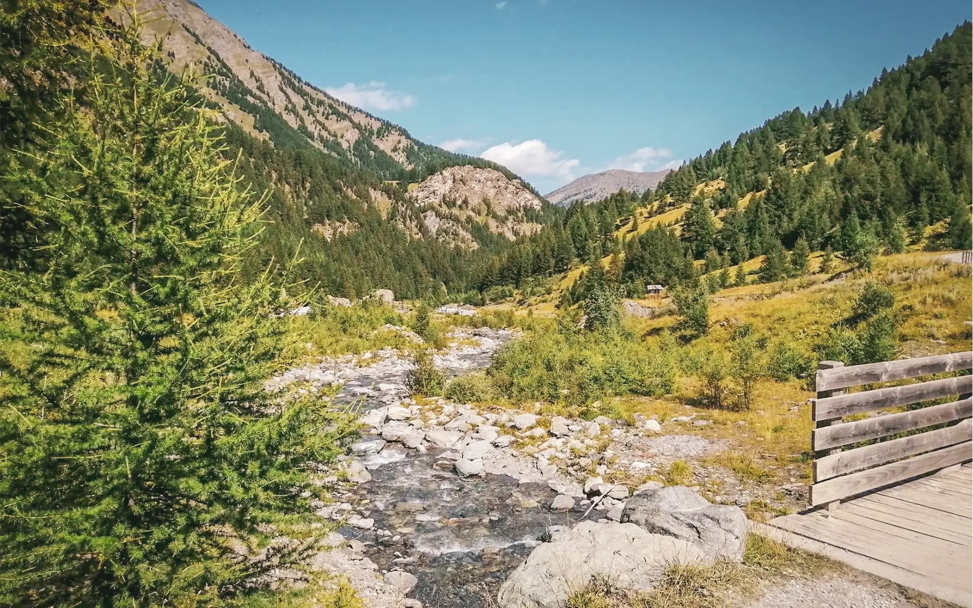 A picturesque view of a hiking trail on Mont Viso, between streams and lush green forests.