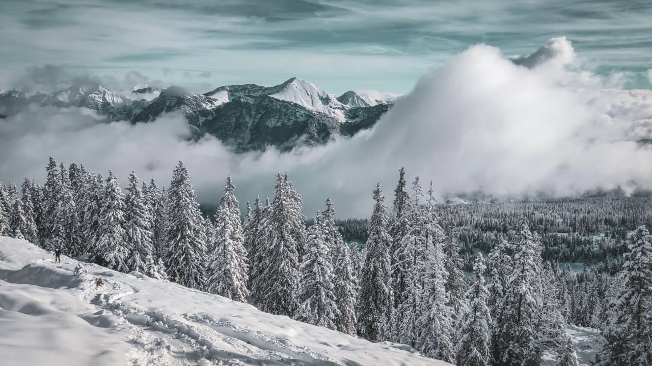 Panorama majestueux des montagnes enneigées du massif des Bauges, enveloppées de nuages et de sapins.