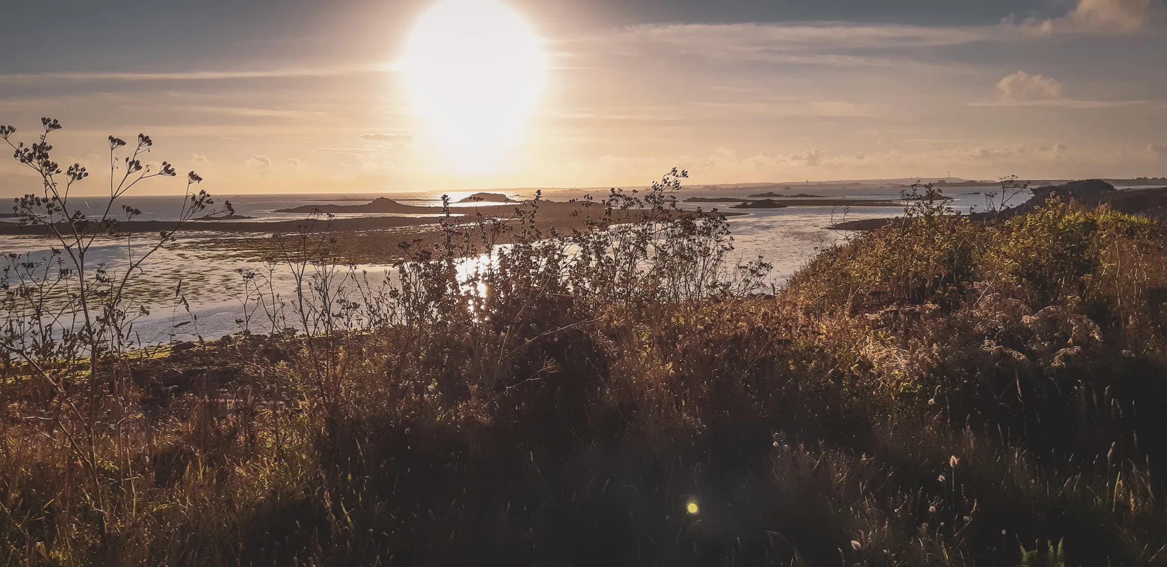 A golden sunset over the Isles of Molène, between the calm sea and wild vegetation.