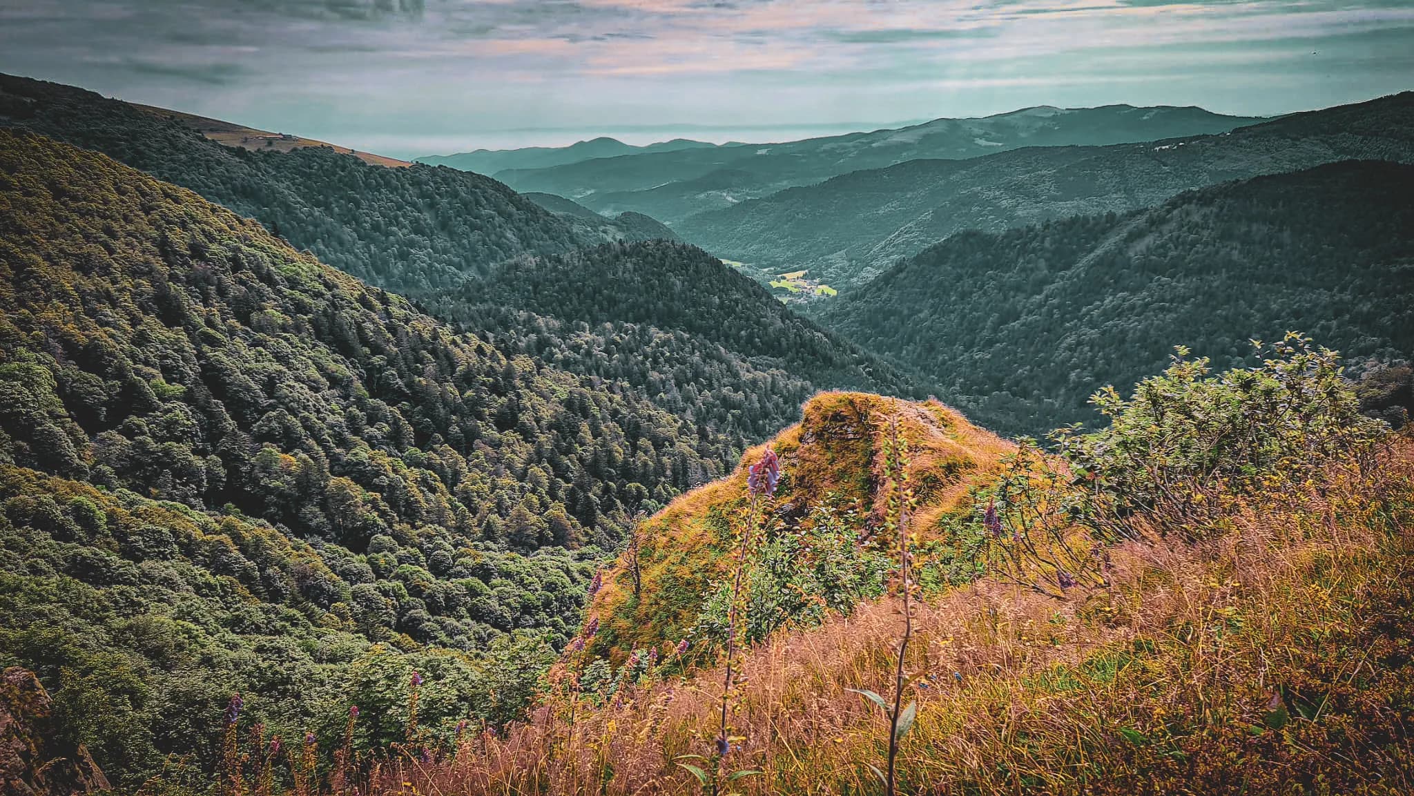 Un paysage montagneux vaste et verdoyant, avec des collines recouvertes de forêts denses. Sur le devant, une butte herbeuse se distingue avec un léger revêtement de végétation, tandis qu'à l'arrière