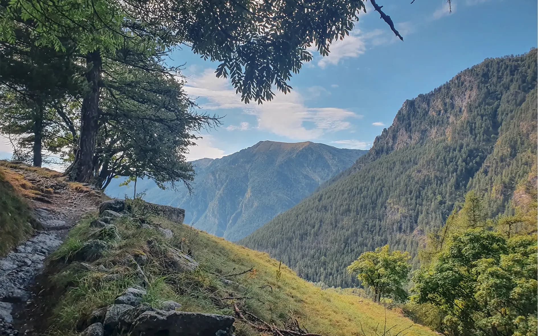 A picturesque trail surrounded by lush green mountains, ideal for a soothing hike.