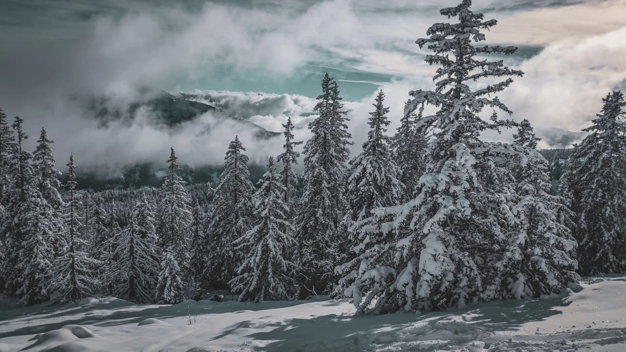 Forêt enneigée majestueuse sous un ciel nuageux, invitation à l'évasion dans les Bauges.