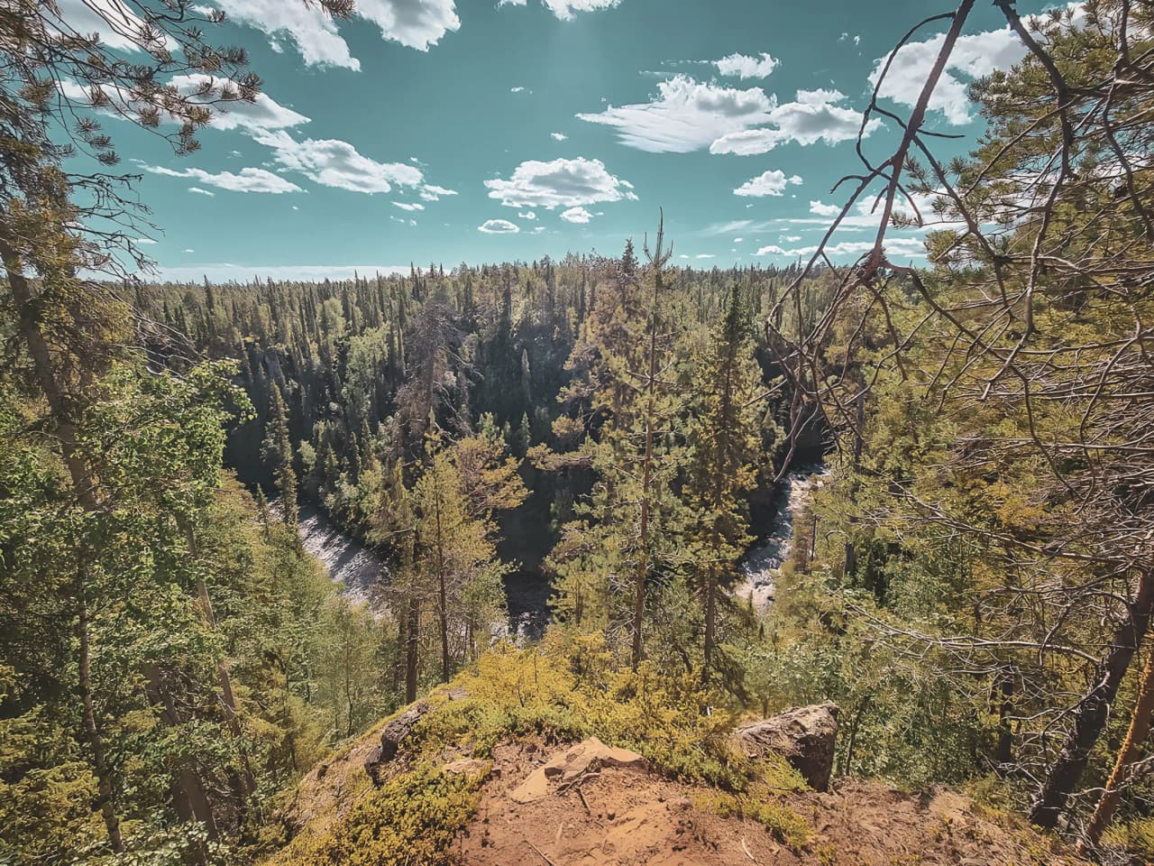 Panoramic view of the deep river, surrounded by lush green forests under a sunny sky.