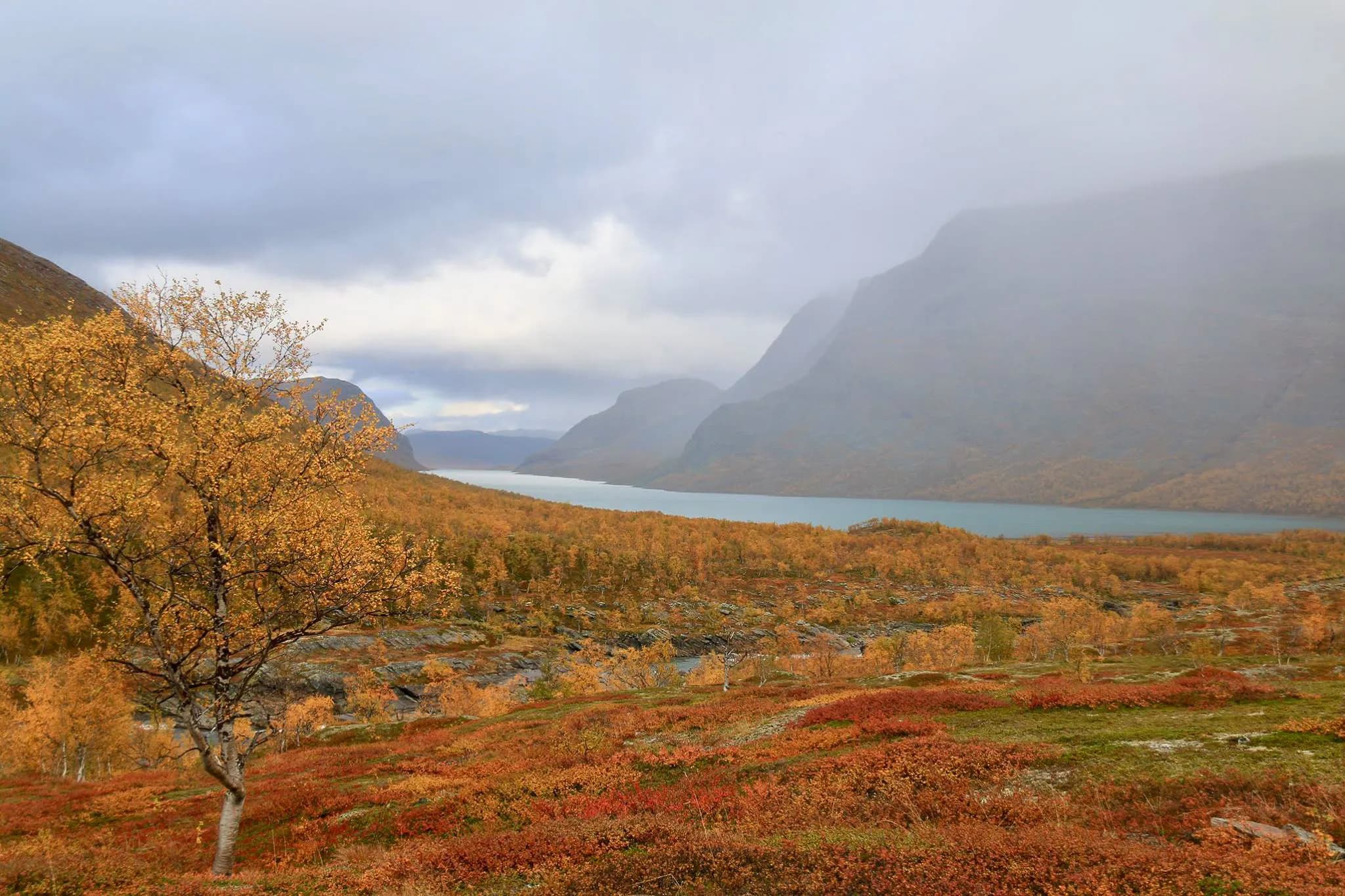 An autumn landscape with hills and mountains in the background, where a stream meanders through the valley. Trees with golden and orange leaves cover the ground, while a misty atmosphere envelops the valley.