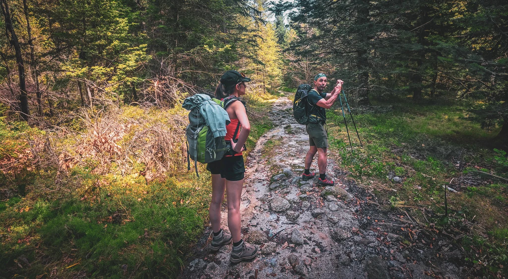 A hiking trail through a green forest, with two hikers preparing their equipment. The woman, wearing light clothing and carrying a rucksack, is looking back, while the man, wearing shorts, is looking forward.
