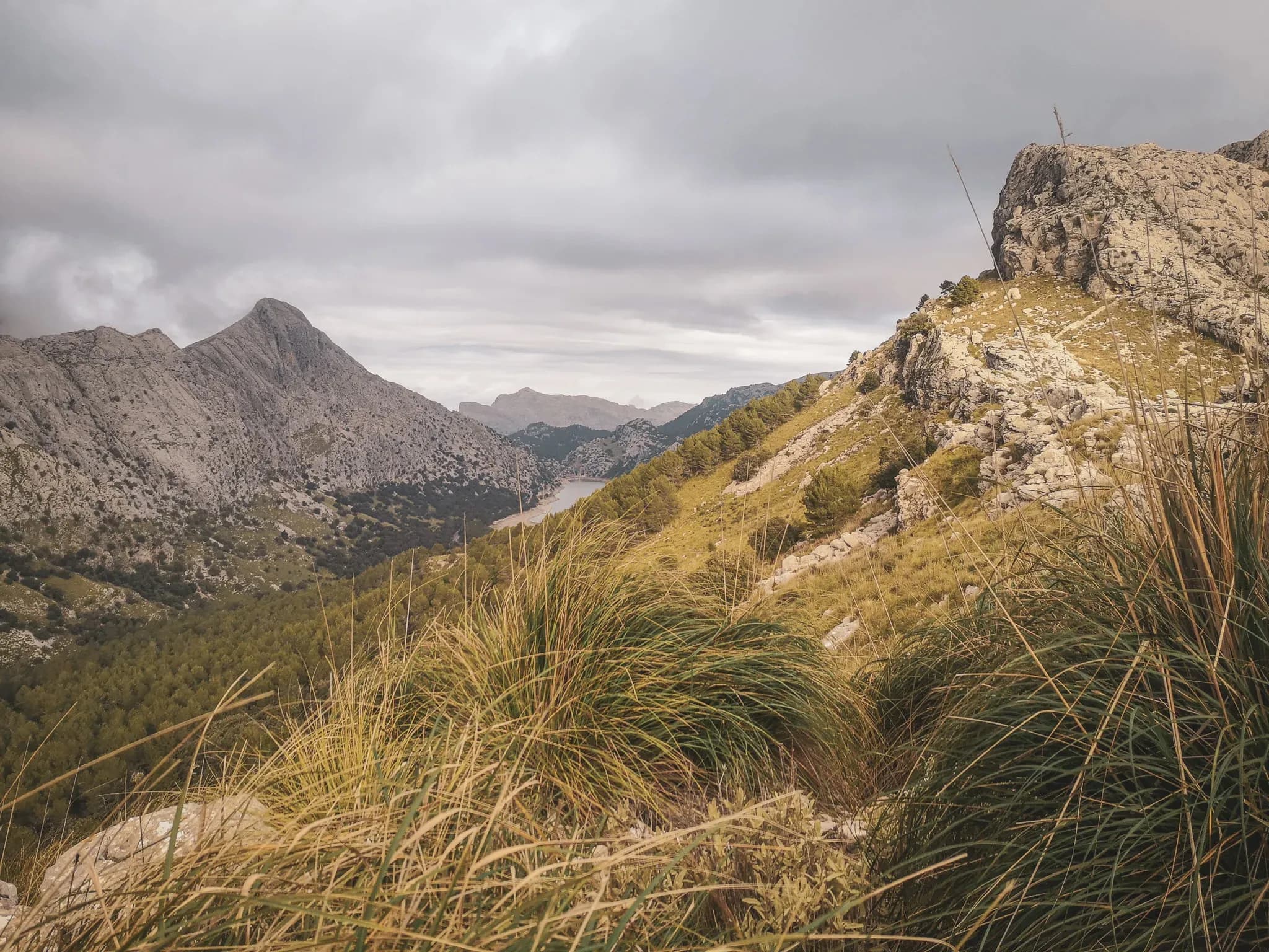 The mountainous landscape of the Serra de Tramuntana, with lush green paths and impressive rock formations.