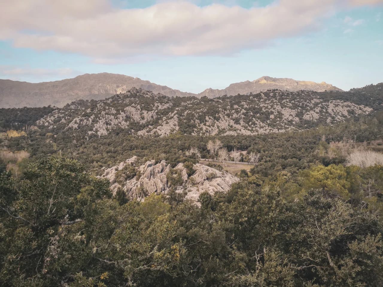 Vue panoramique de la Serra de Tramuntana, avec ses rochers majestueux et une végétation luxuriante.