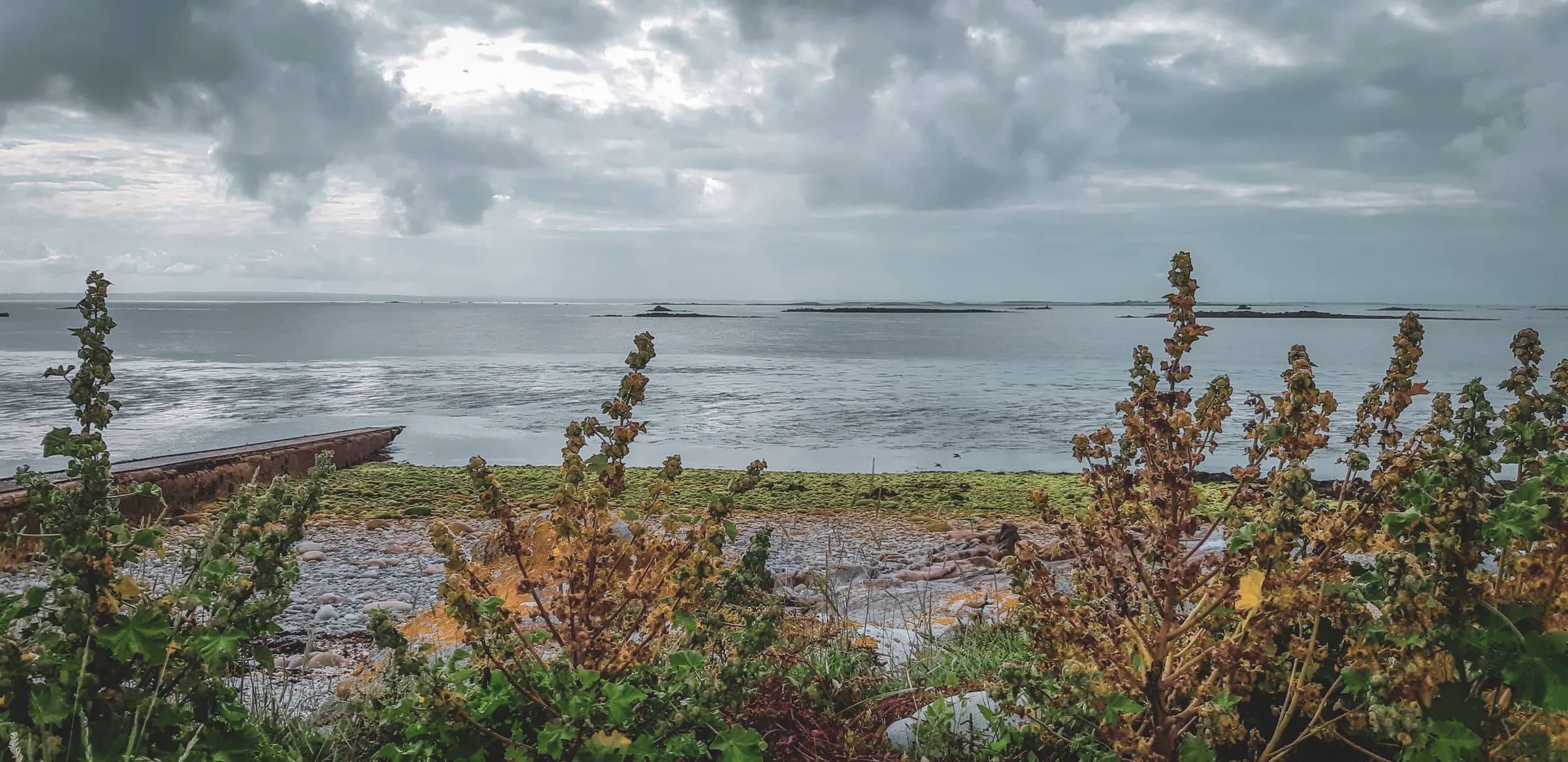 A soothing view of the Molène archipelago, with its calm sea, clouds and wild greenery.