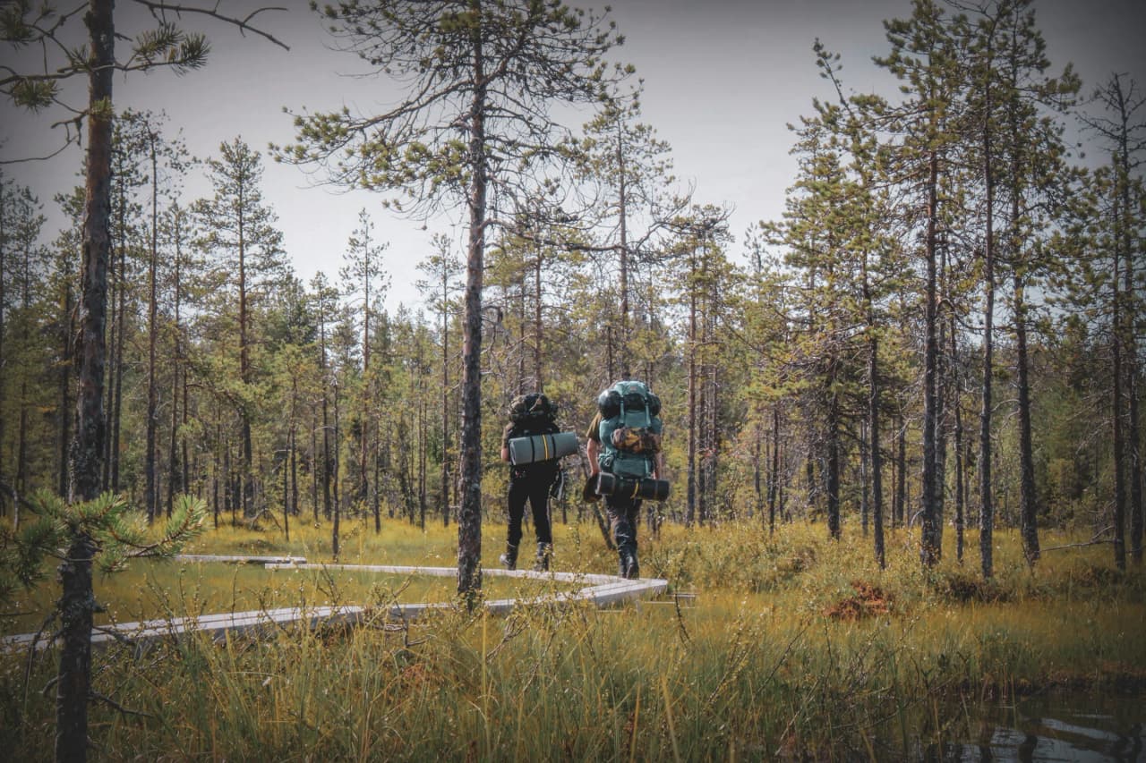 Two adventurers cross a wooded path in Lapland, loaded down with rucksacks, ready to explore.