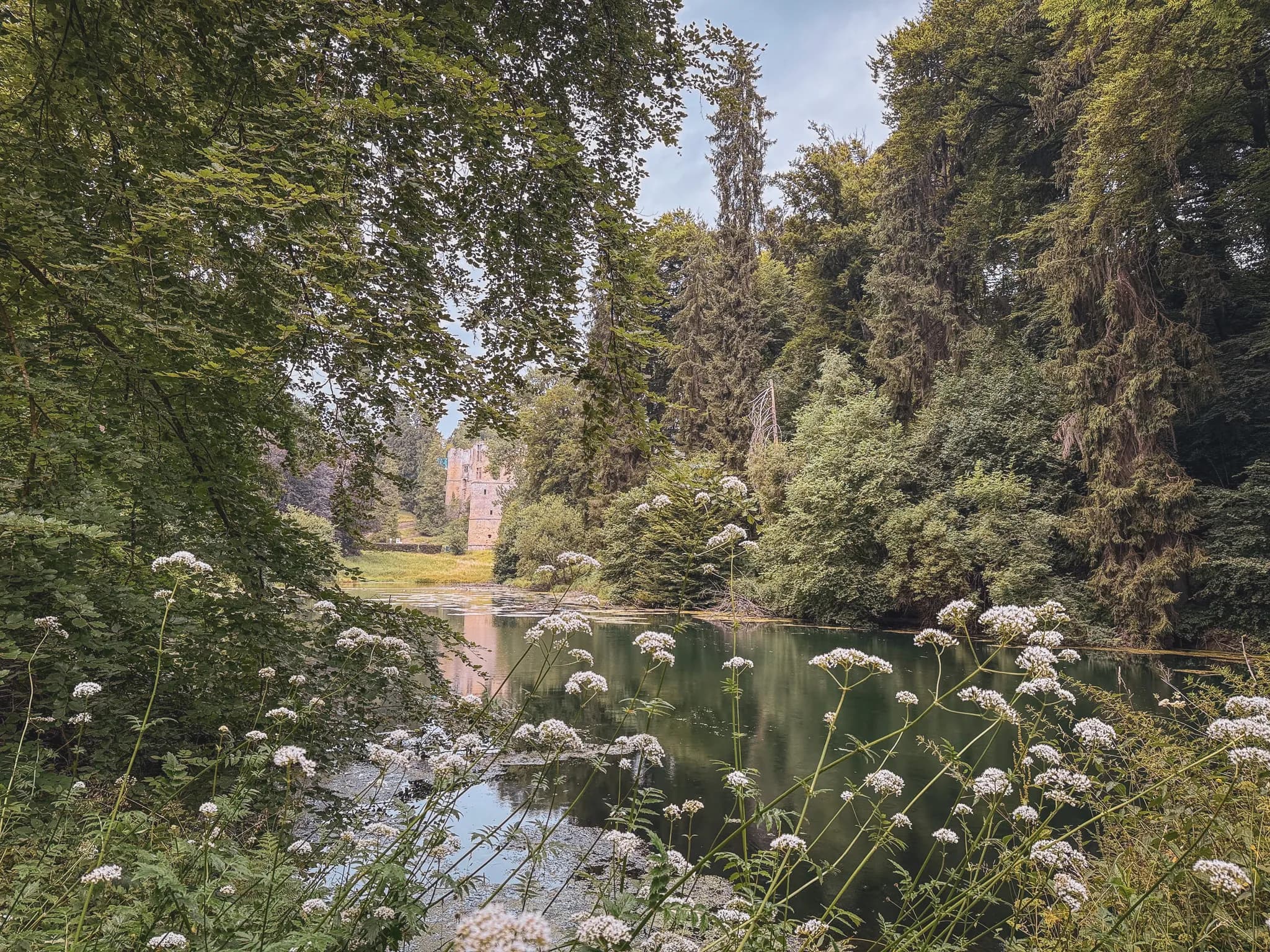 A winding path cuts through a dense forest, where majestic trees with varied foliage create a verdant canopy. Moss-covered boulders dot the ground, adding a touch of