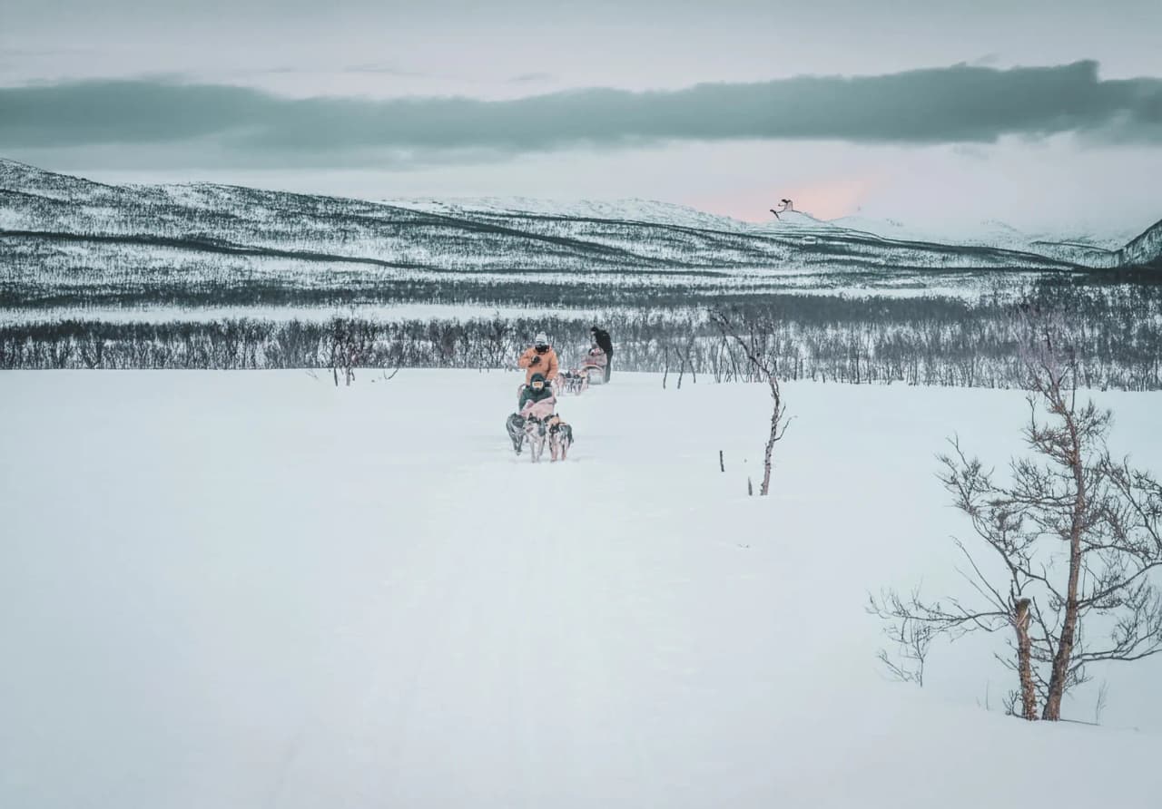Snow-covered landscape of Finnmark with mushers and sled dogs