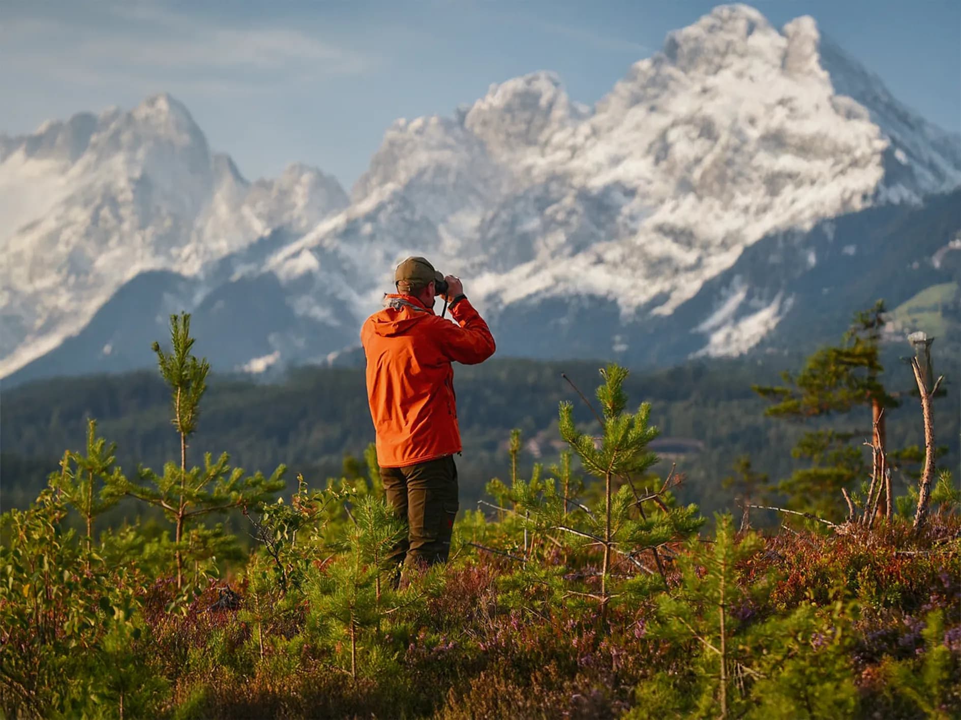 A man in an orange jacket observes the valley through binoculars, standing on undulating ground covered with small plants and saplings. In the background, a majestic mountain range covered in snow rises up under a clear sky.