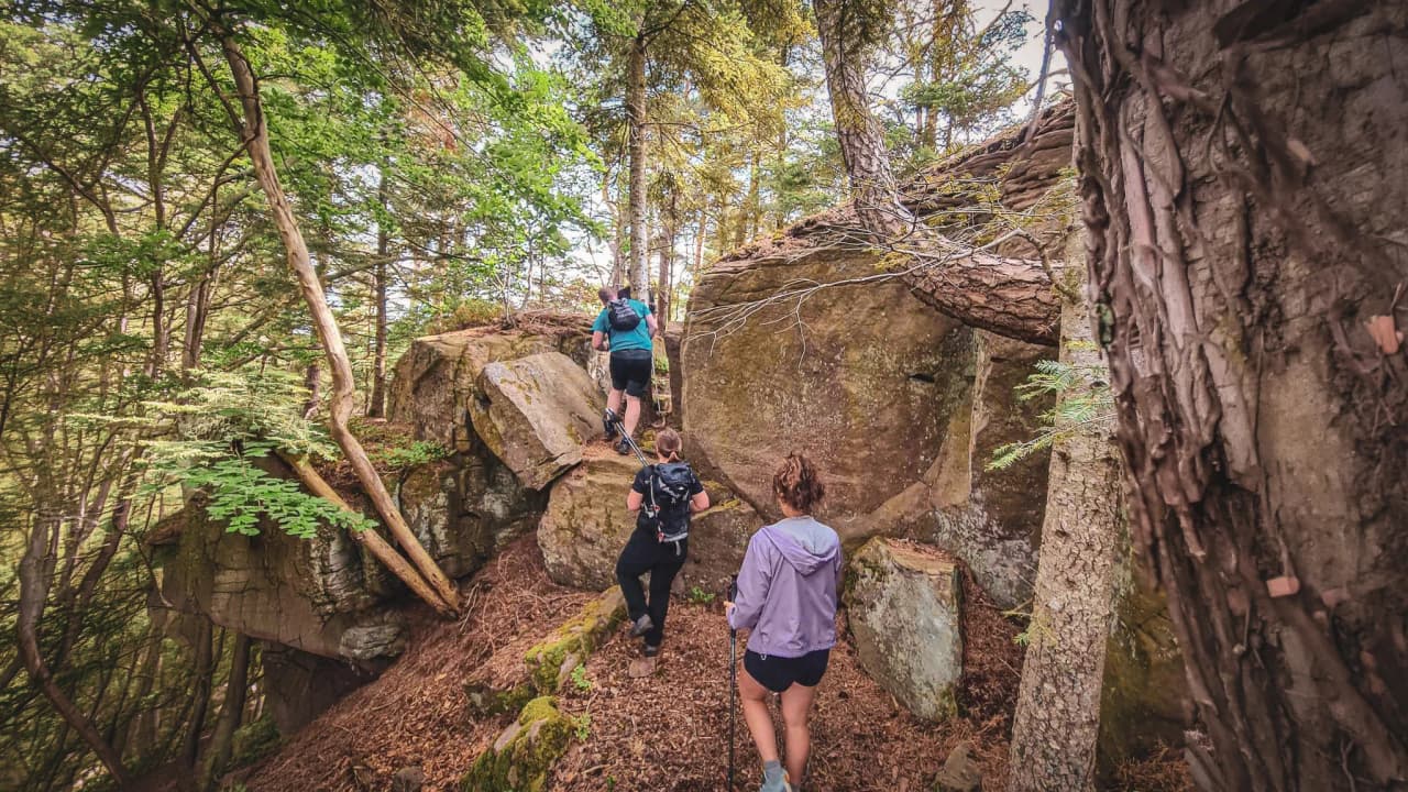 Three hikers explore a wooded valley, surrounded by rocks and soothing greenery.