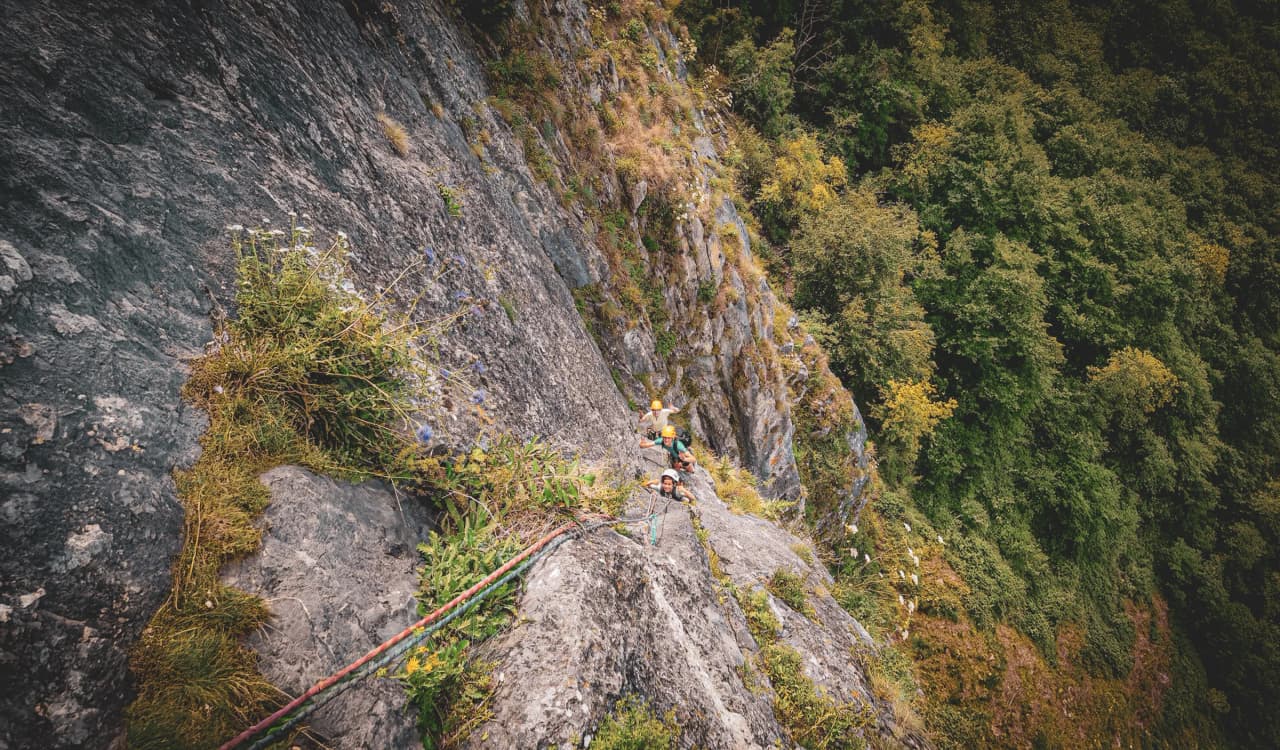 A group of climbers tackling a steep rock face, with plants growing on the stone. In the background, a dense deciduous forest can be seen, adding a touch of greenery.