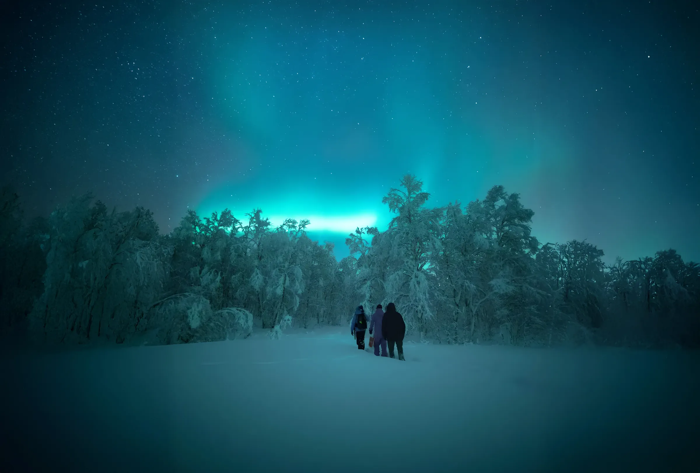 A group admires the Northern Lights above a snow-covered forest in Norway.