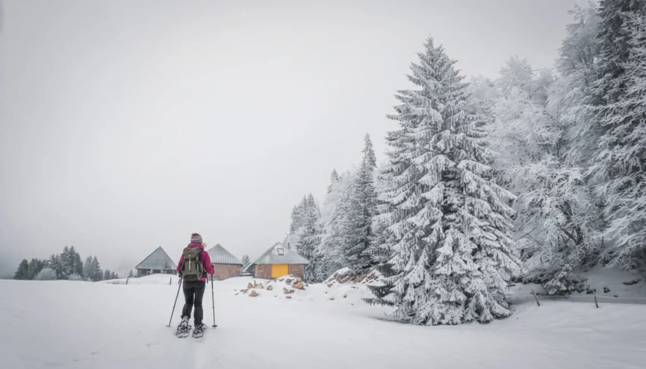 Randonneuse en raquettes dans un paysage enneigé, entre forêts gelées et refuges chaleureux.