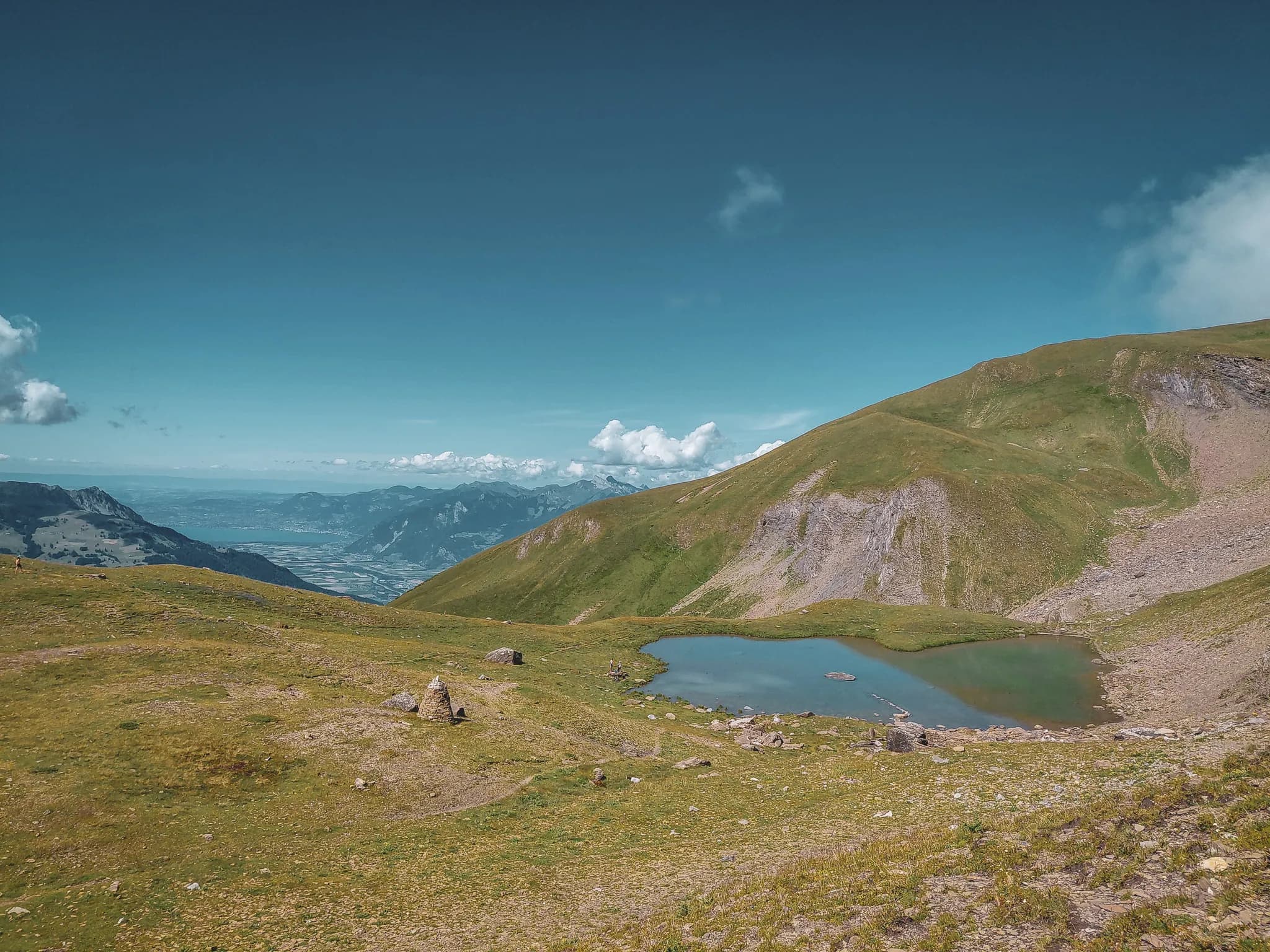 An alpine landscape with majestic mountains in the background, green slopes dotted with rocks and colourful wildflowers in the foreground. Three mountain goats are standing by a large stone,