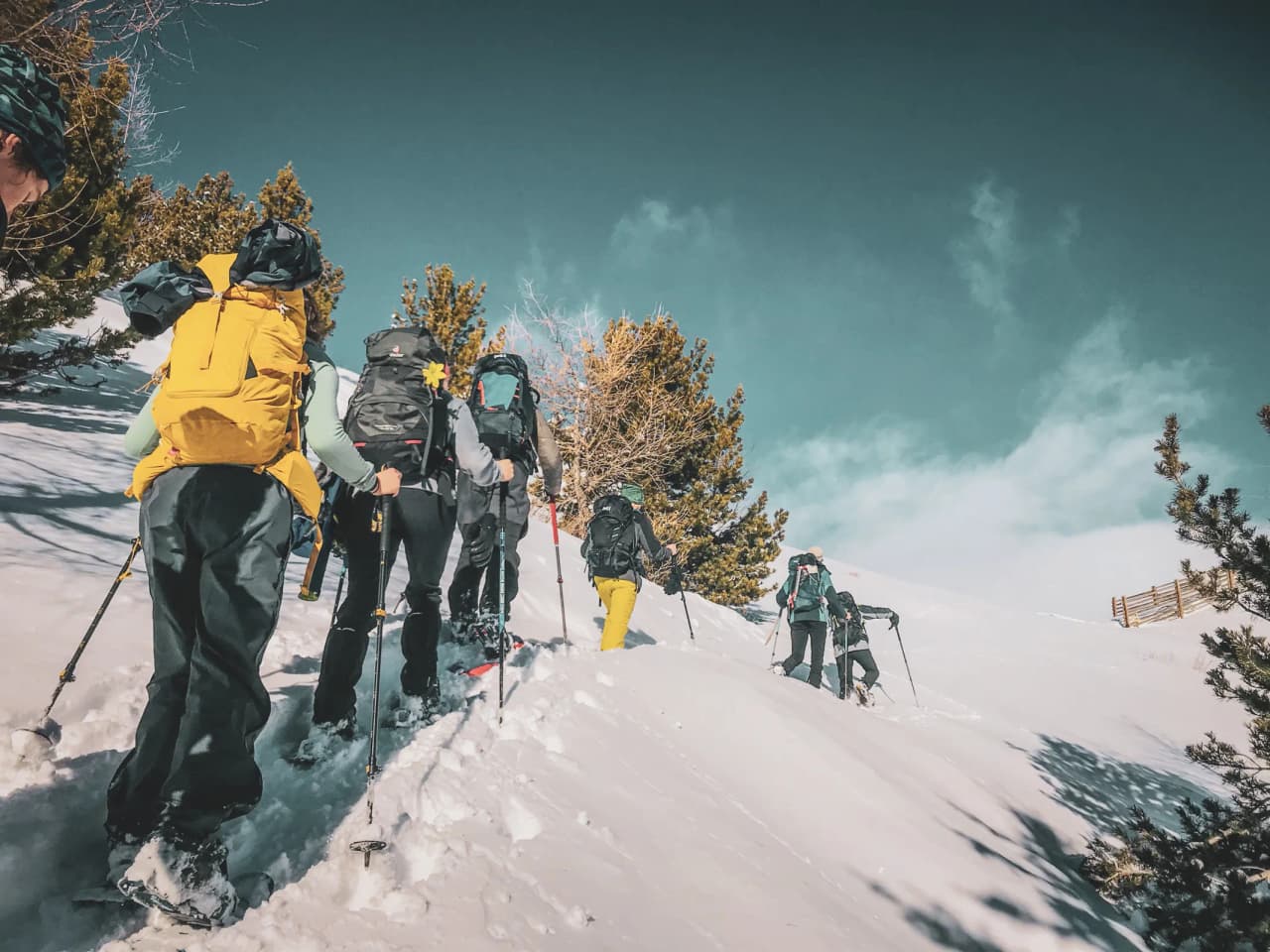 Groupe de randonneurs en raquettes sur un chemin enneigé, face aux majestueux glaciers.