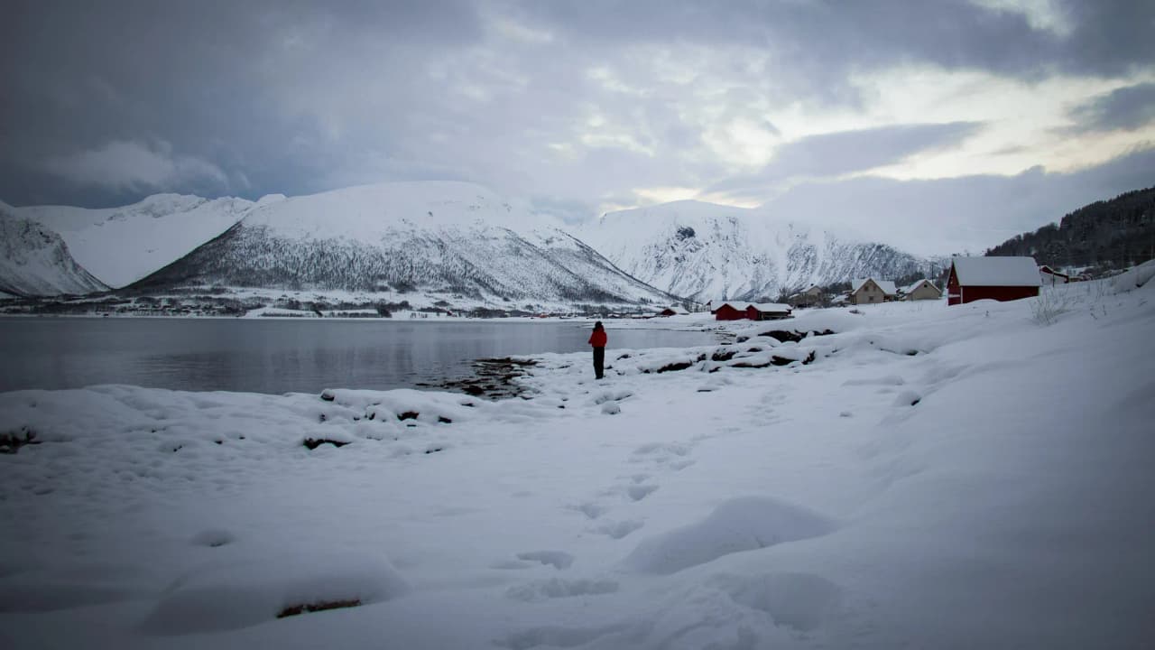 A traveller gazing at snow-covered fjords beneath a cloudy sky; a peaceful yet wild atmosphere.