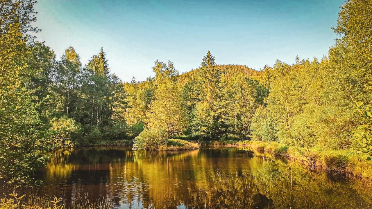 Peaceful forest valley, mirror lake surrounded by golden trees under an azure sky. A nature escape.