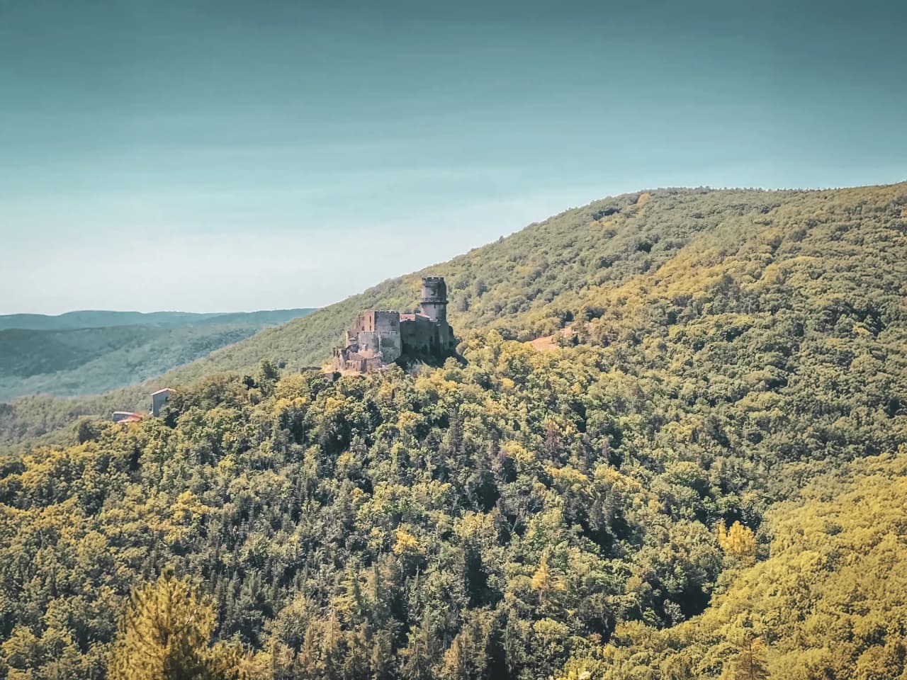 Ruines d'un château surplombant une forêt verdoyante, invitation à l'aventure en Auvergne.