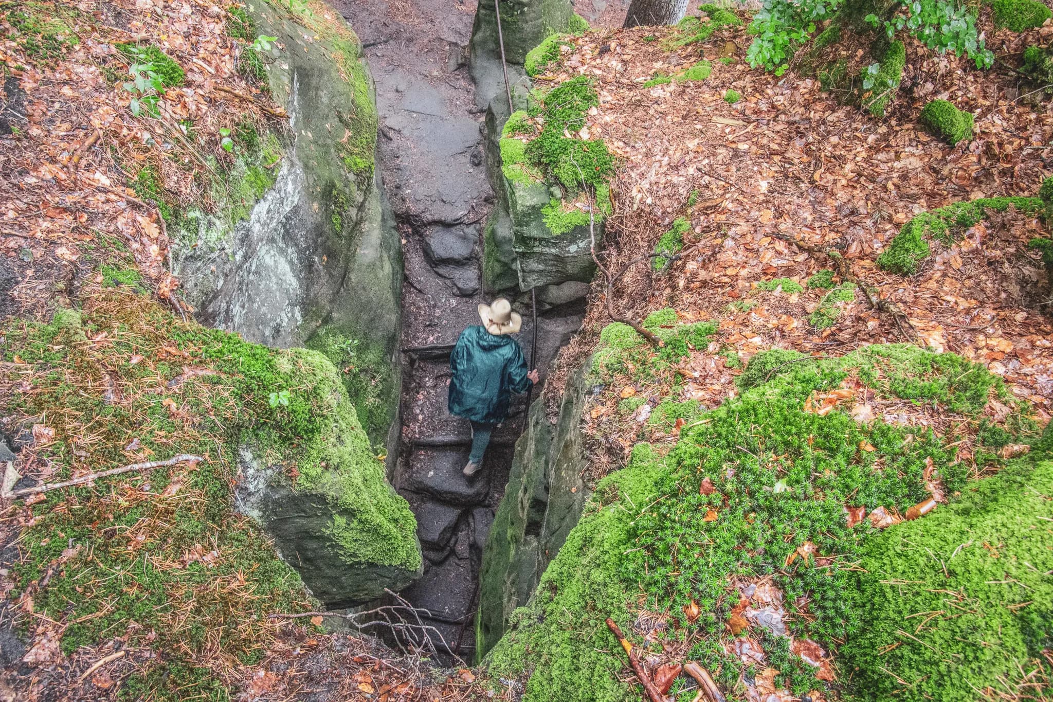 Hiker exploring a narrow path in the heart of Luxembourg's countryside, surrounded by lush green rocks.