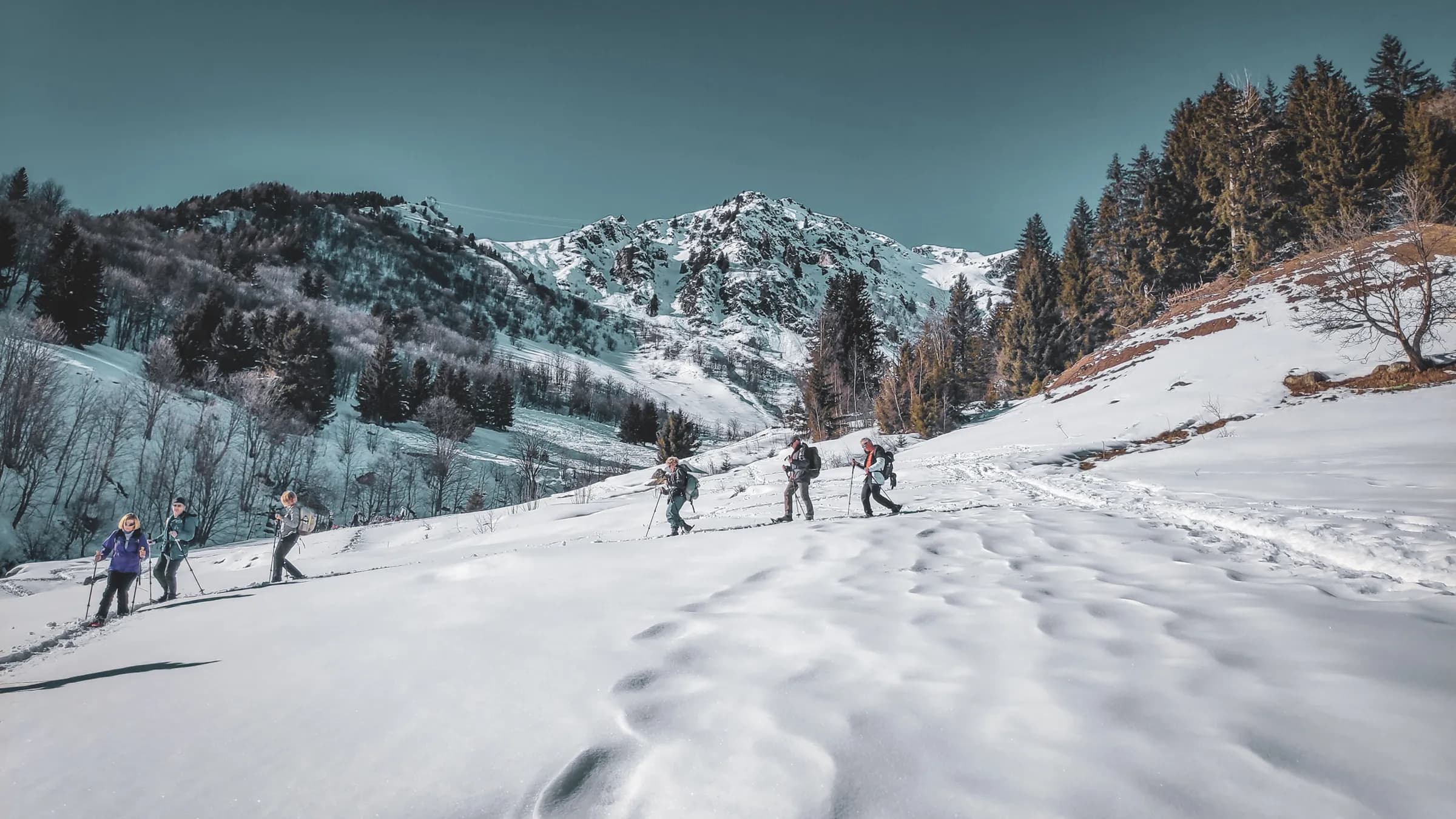 Groupe de randonneurs en raquettes traversant un paysage alpin enneigé, sous un ciel bleu.