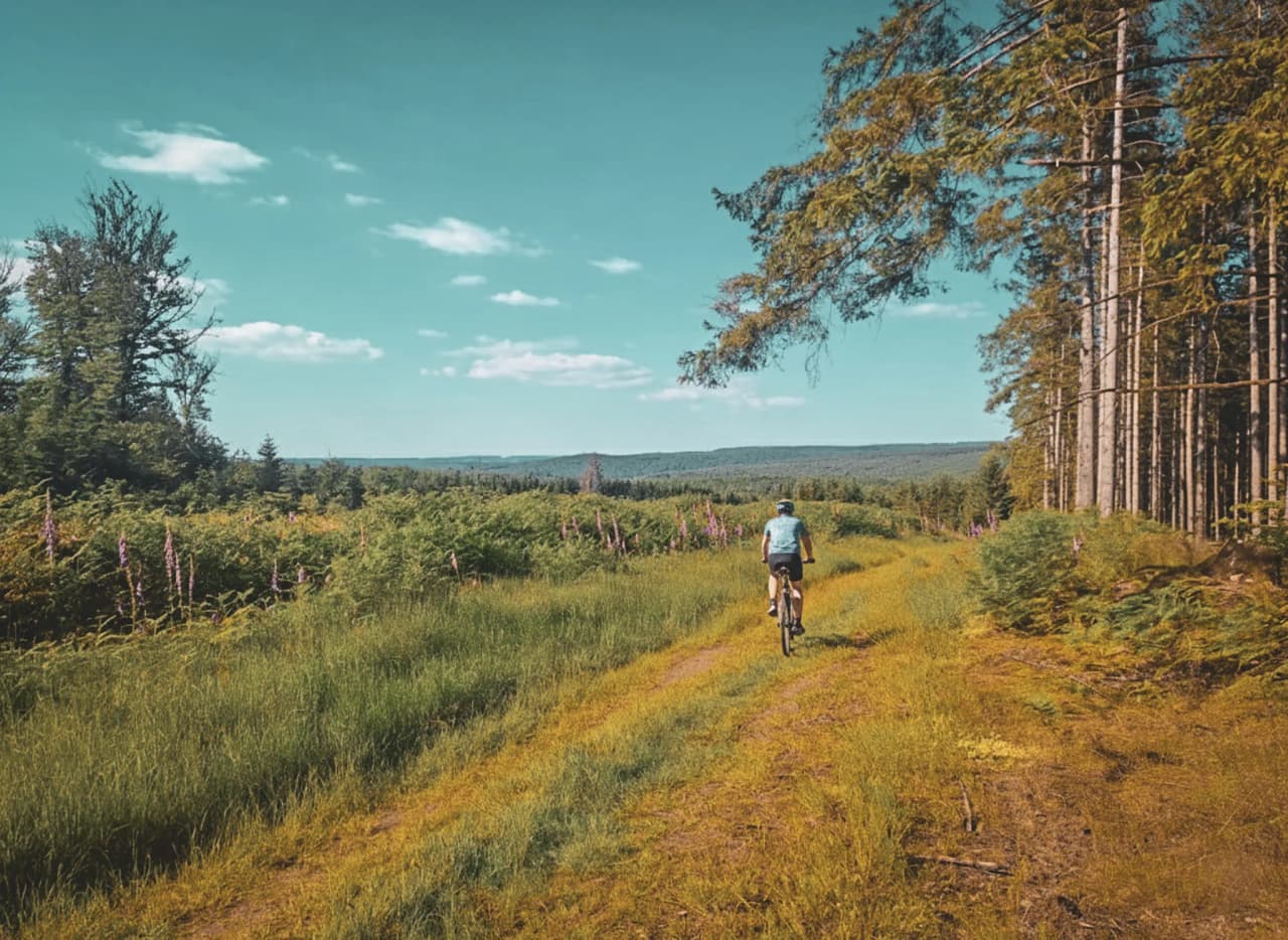 Un cycliste explore un sentier verdoyant au cœur des forêts ardennaises, sous un ciel bleu apaisant.
