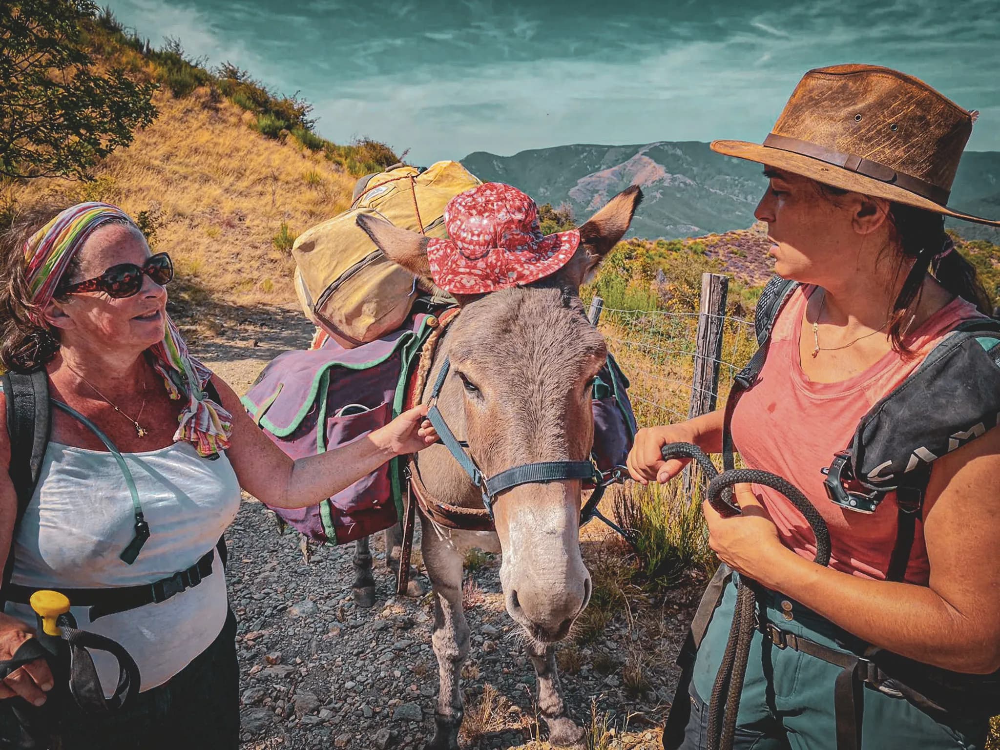 Two women stand on a mountain path, surrounded by rolling countryside. One of them, wearing sunglasses and a colourful scarf, is stroking a donkey wearing a floral hat.