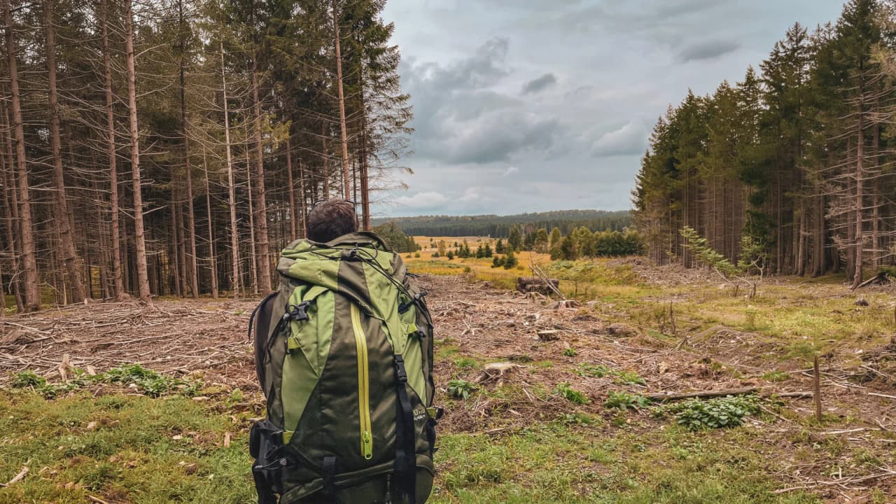 Un randonneur avec un grand sac à dos contemplant une vallée verdoyante au cœur de la forêt.