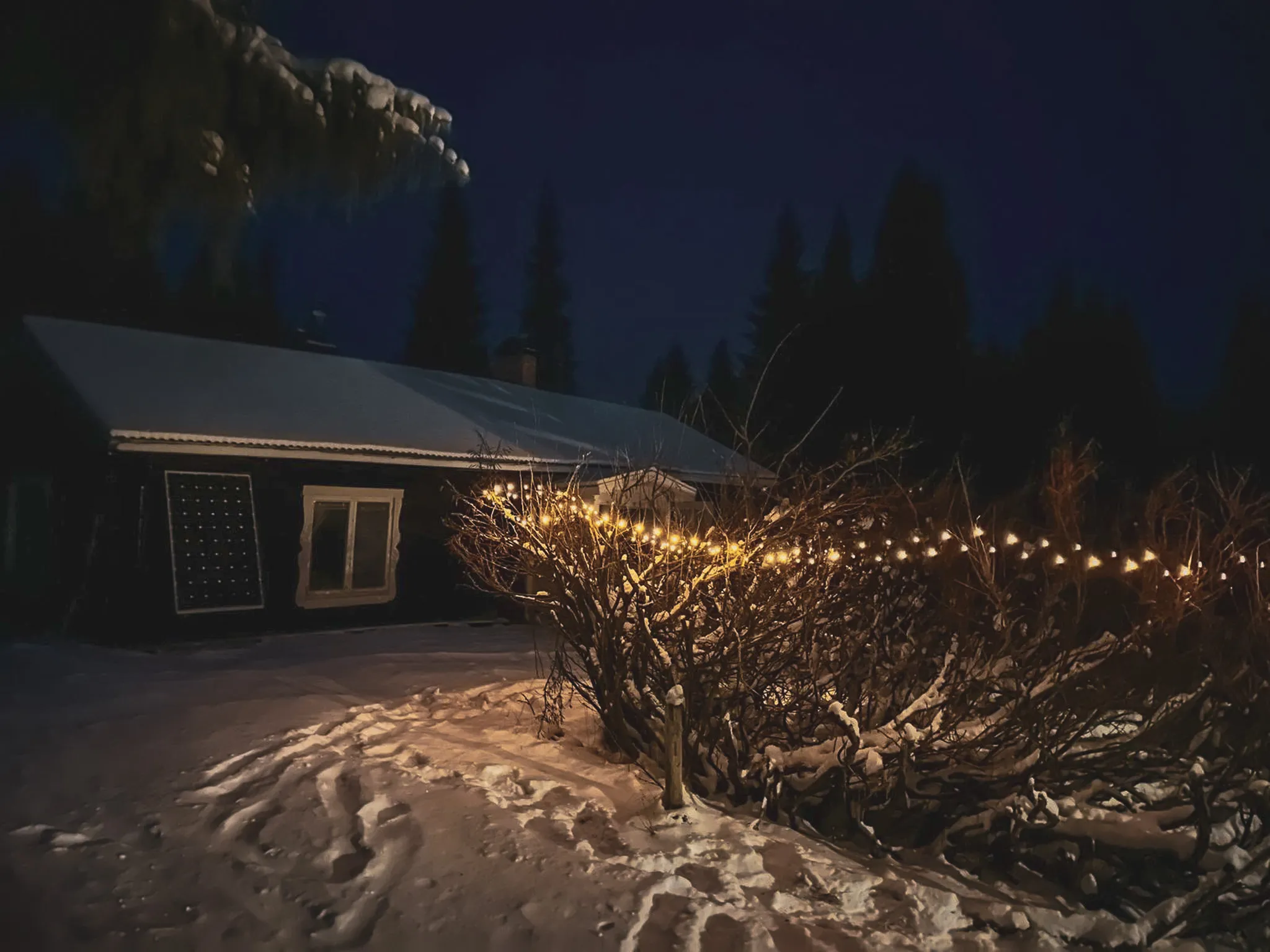 Een besneeuwde hut die 's nachts verlicht is, omgeven door wildernis, een uitnodiging tot avontuur.