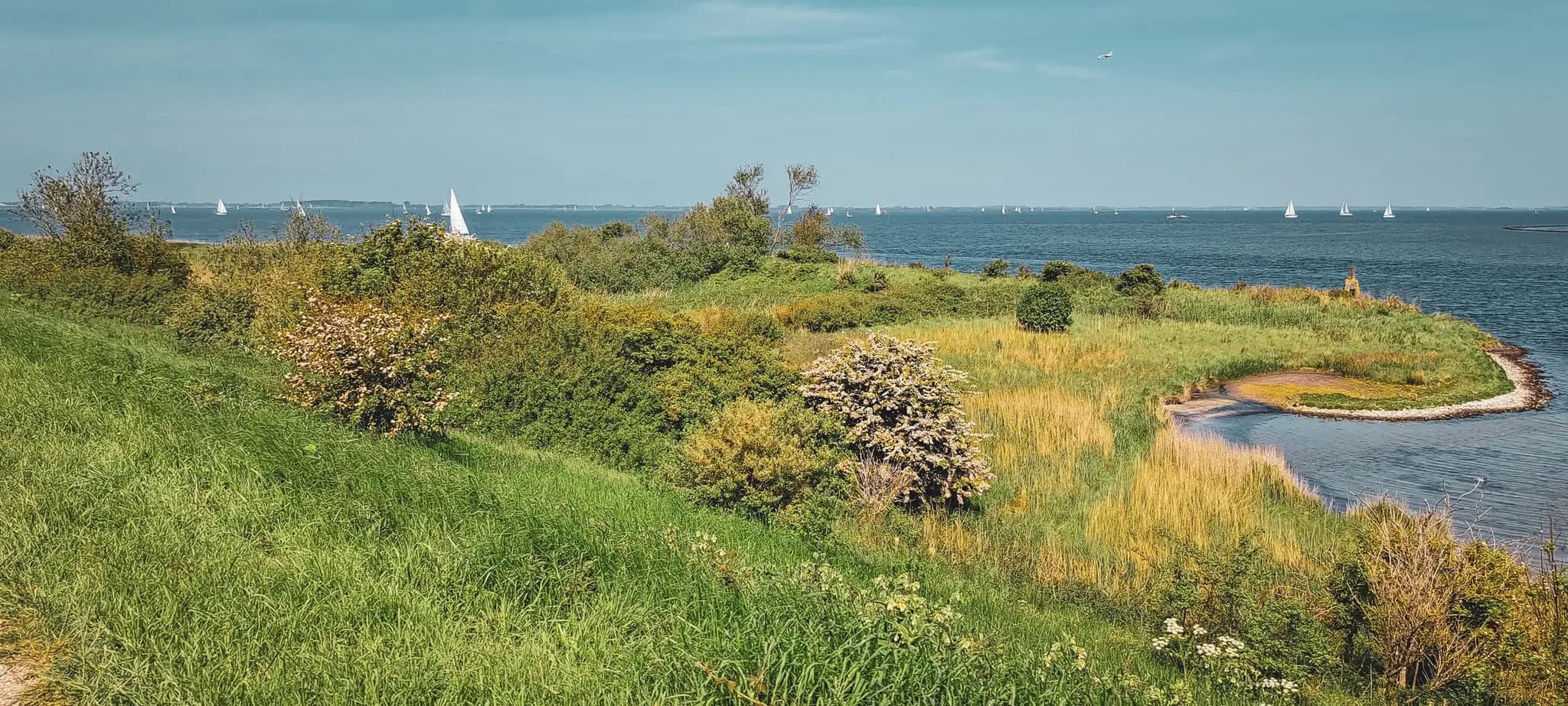 Zeeland coastal landscape, green dunes, sailing boats on the horizon under a sunny sky.