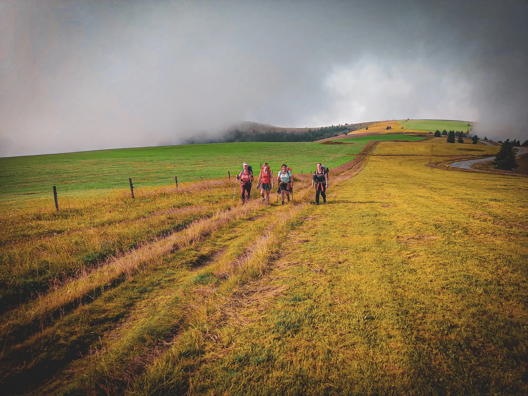 Un groupe de quatre randonneurs marche sur un chemin sinueux à travers des prairies verdoyantes et des champs dorés. L'environnement est bucolique, avec des zones de brouillard s'élevant sur les collines au