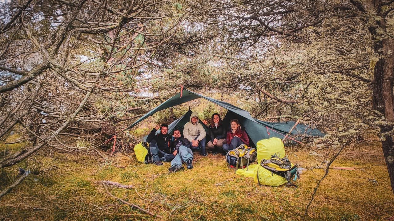 A group of five under a makeshift shelter in the lush green forests of the Vercors.