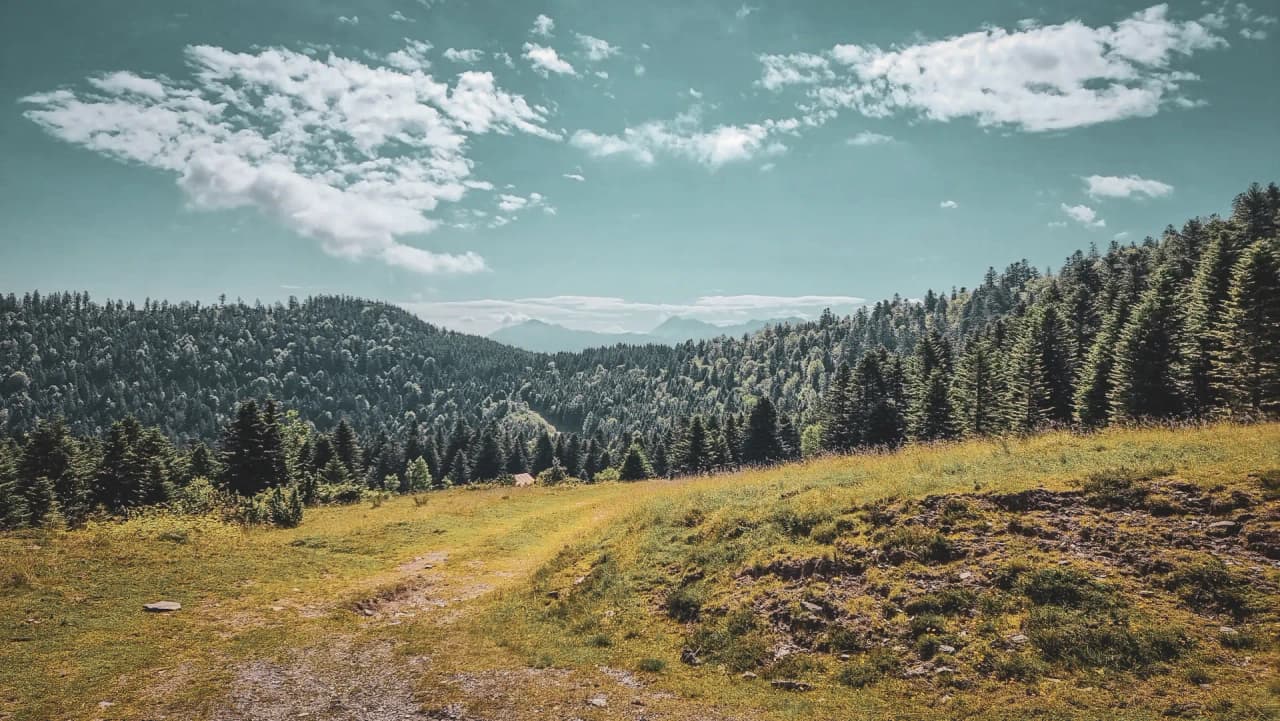 Paysage enchanteur des Pyrénées