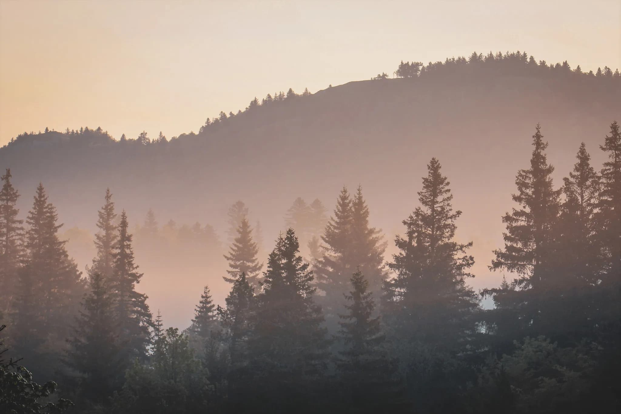 A misty landscape in the Vercors mountains, enveloped in a soft, mysterious light.