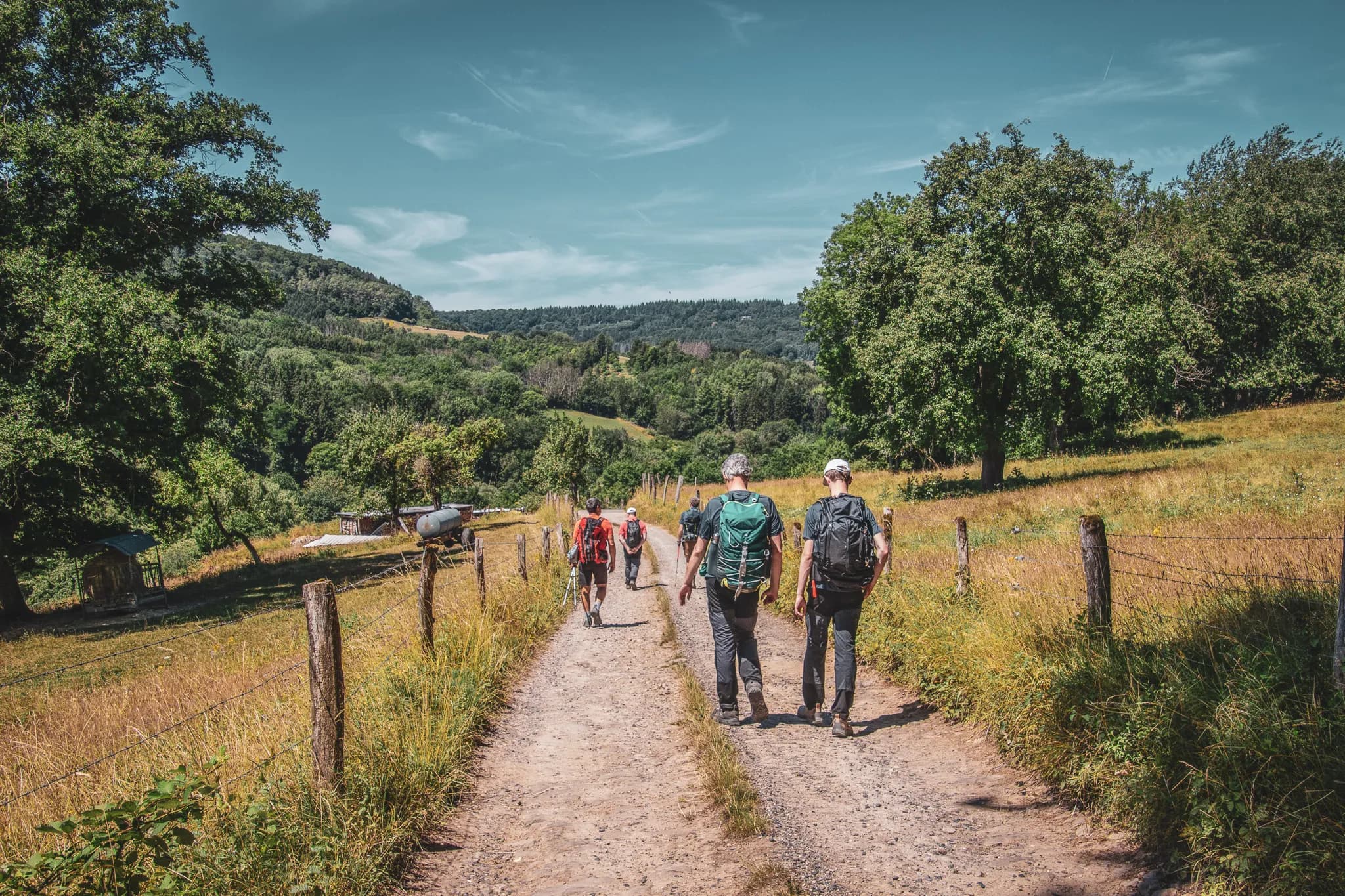A person stands on a stone wall, gazing out over a green, undulating landscape. In the distance, houses are scattered across the valley, bordered by wooded hills. The light is soft, creating a