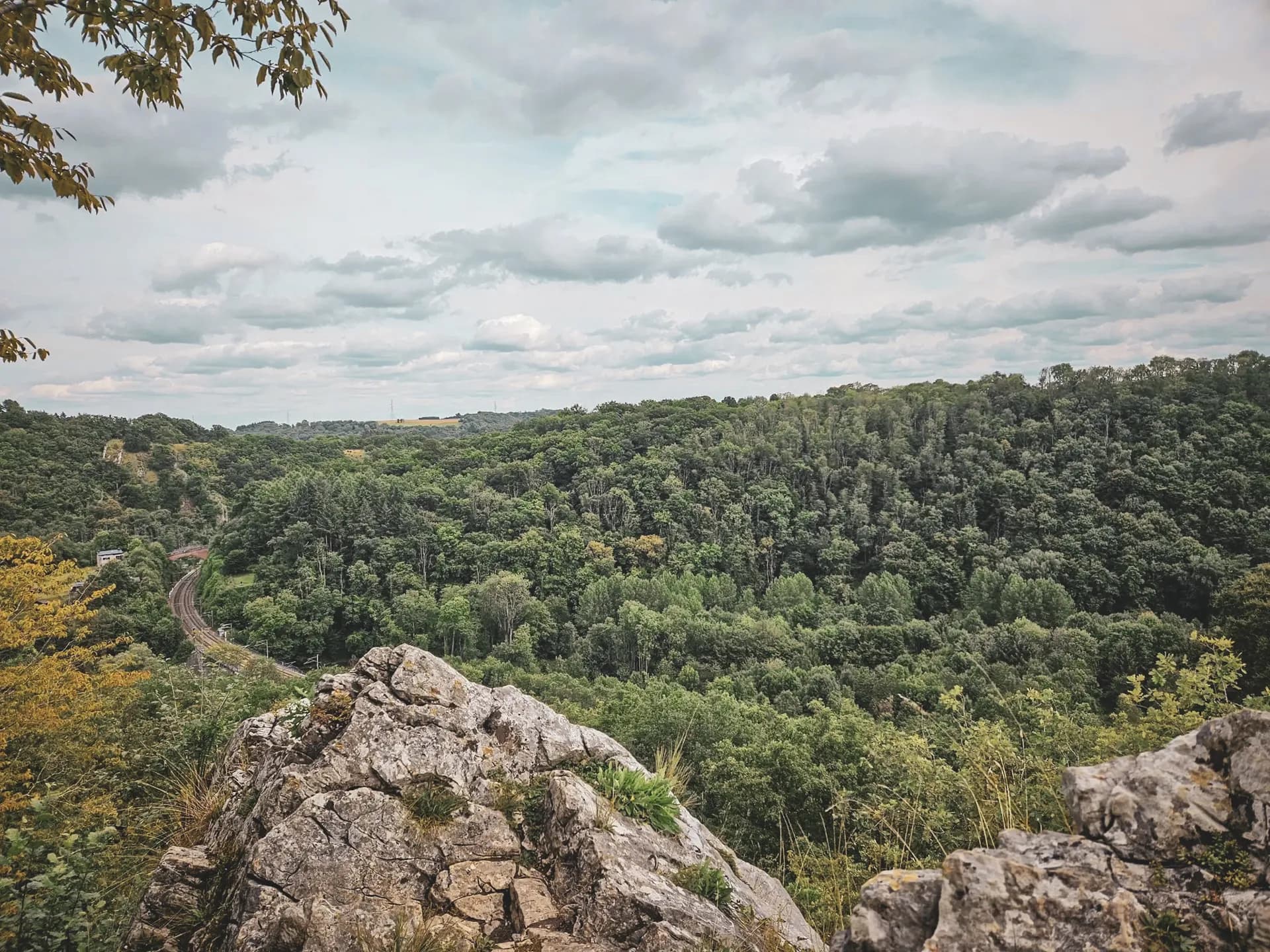 Panoramic views of the Vosges, between lush green forests and majestic rocks