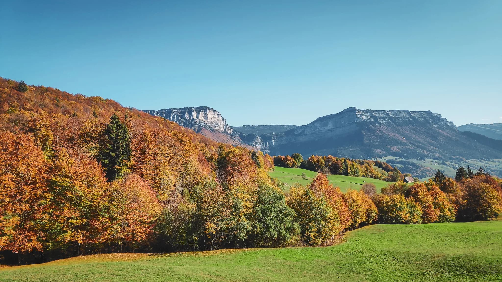 Un paysage automnal splendide, où des arbres aux feuilles dorées, orange et rouges se mêlent sur des collines verdoyantes. À l'arrière-plan, des montagnes imposantes se dressent sous un ciel bleu clair. La lumière