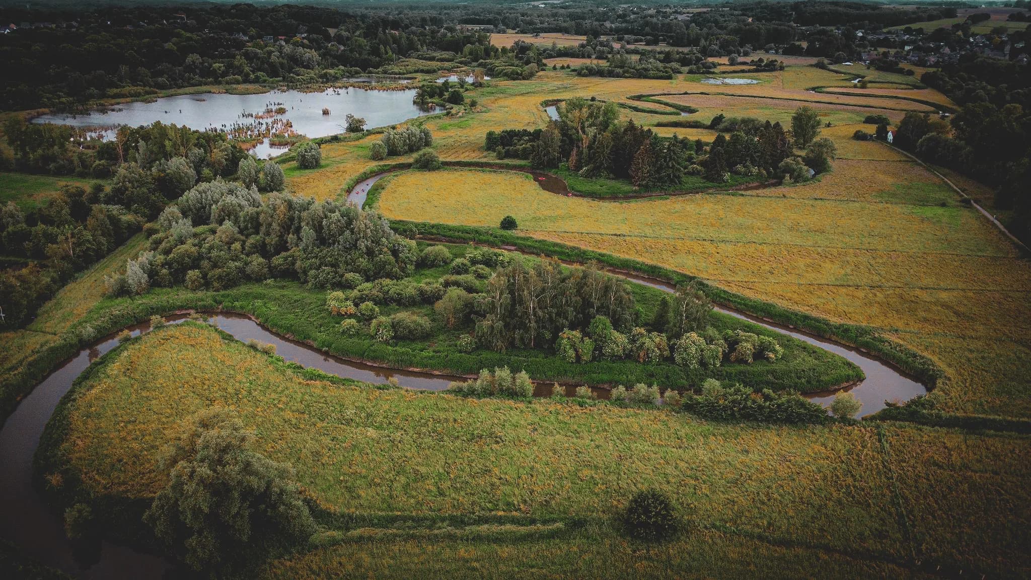 Paysage verdoyant avec rivières sinueuses et étangs, idéal pour une expédition nature en packraft.