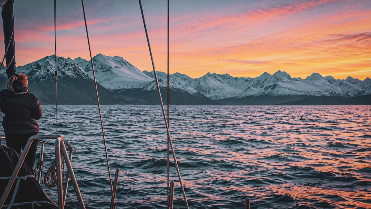 A sailing boat glides peacefully through the fjords of Tromsø, surrounded by snow-capped mountains at sunset.