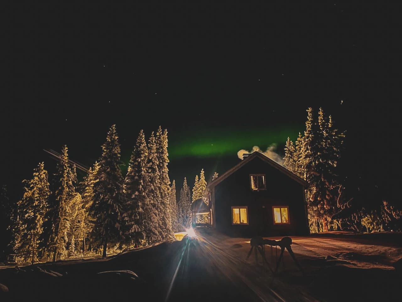 Een huis verlicht onder het noorderlicht, omringd door besneeuwde dennenbomen in Lapland.