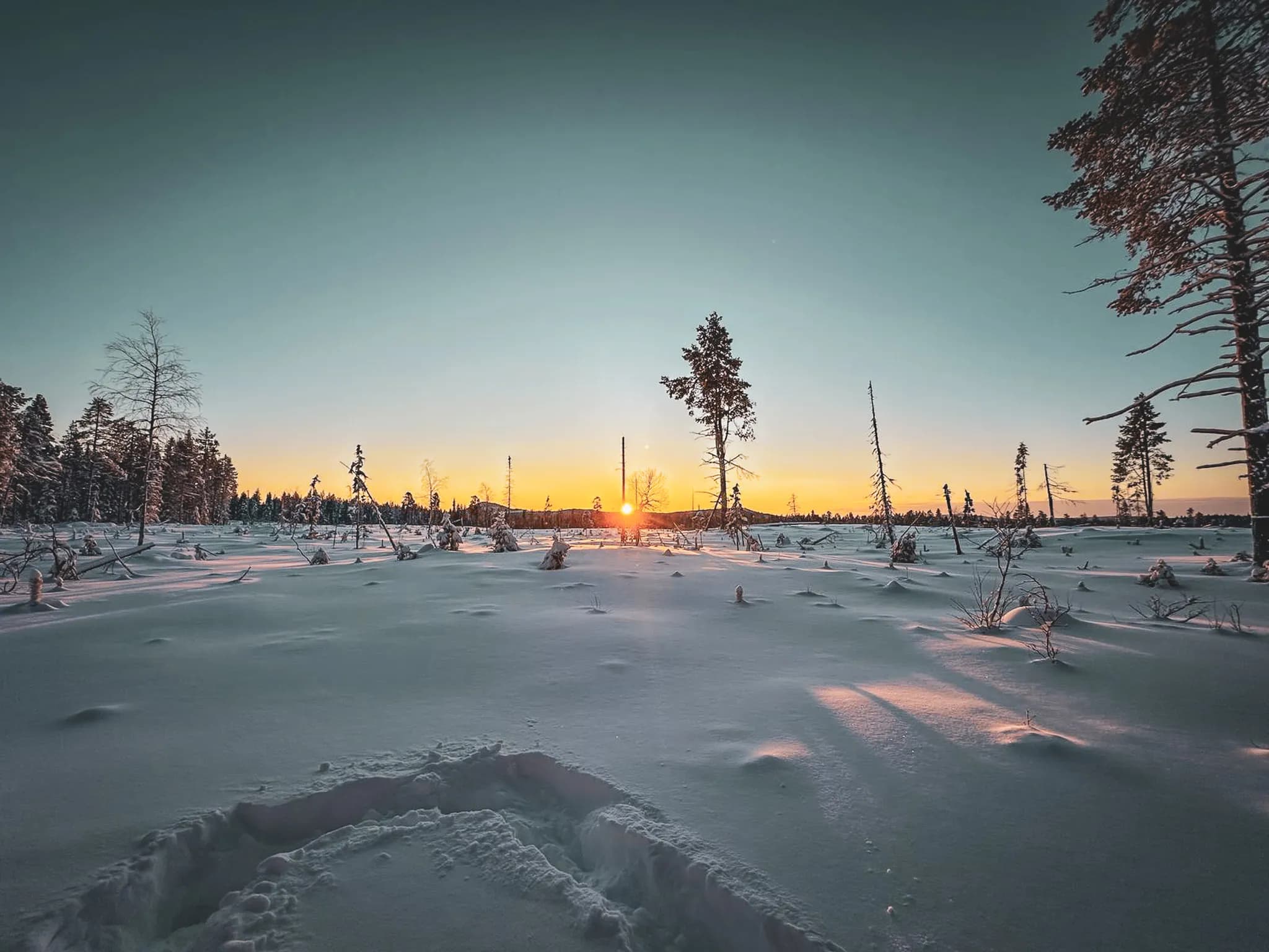 Een persoon die plezier heeft onder een stralende hemel, omringd door sneeuw en dennenbomen in Lapland.