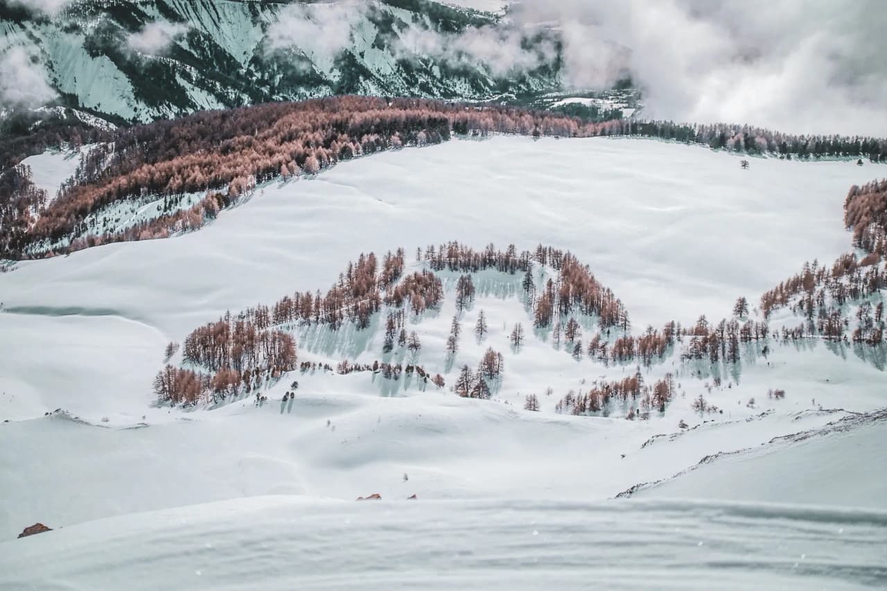 Un paysage hivernal sculpté par la neige, avec des forêts dorées surplombant des montagnes majestueuses.