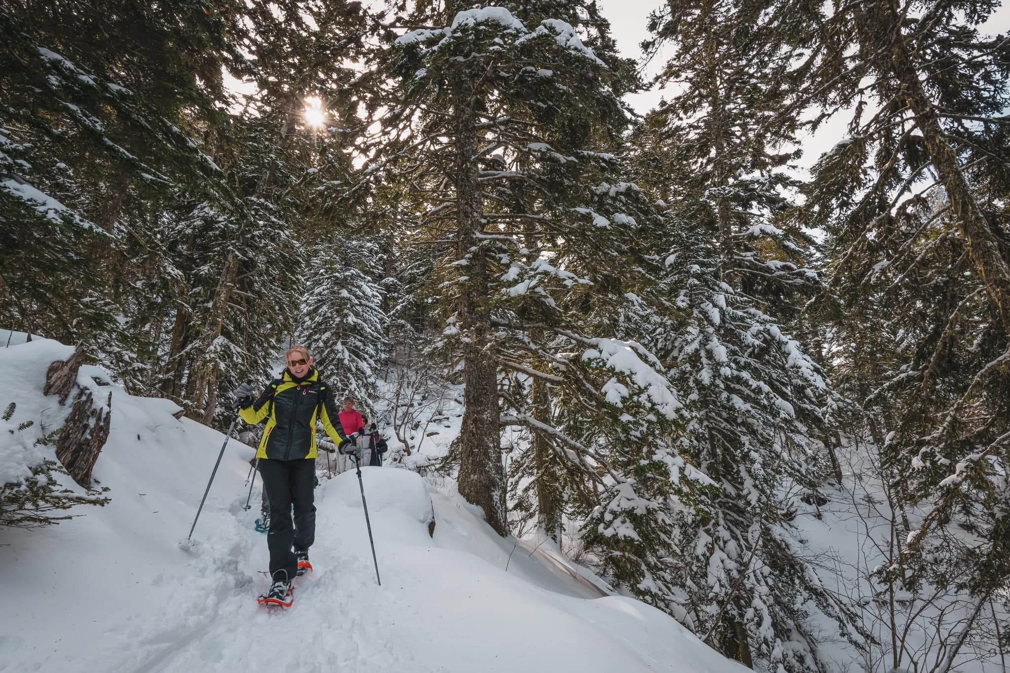 Hiking in the snow, surrounded by snowy forests bathed in light. Adventure in the heart of nature.