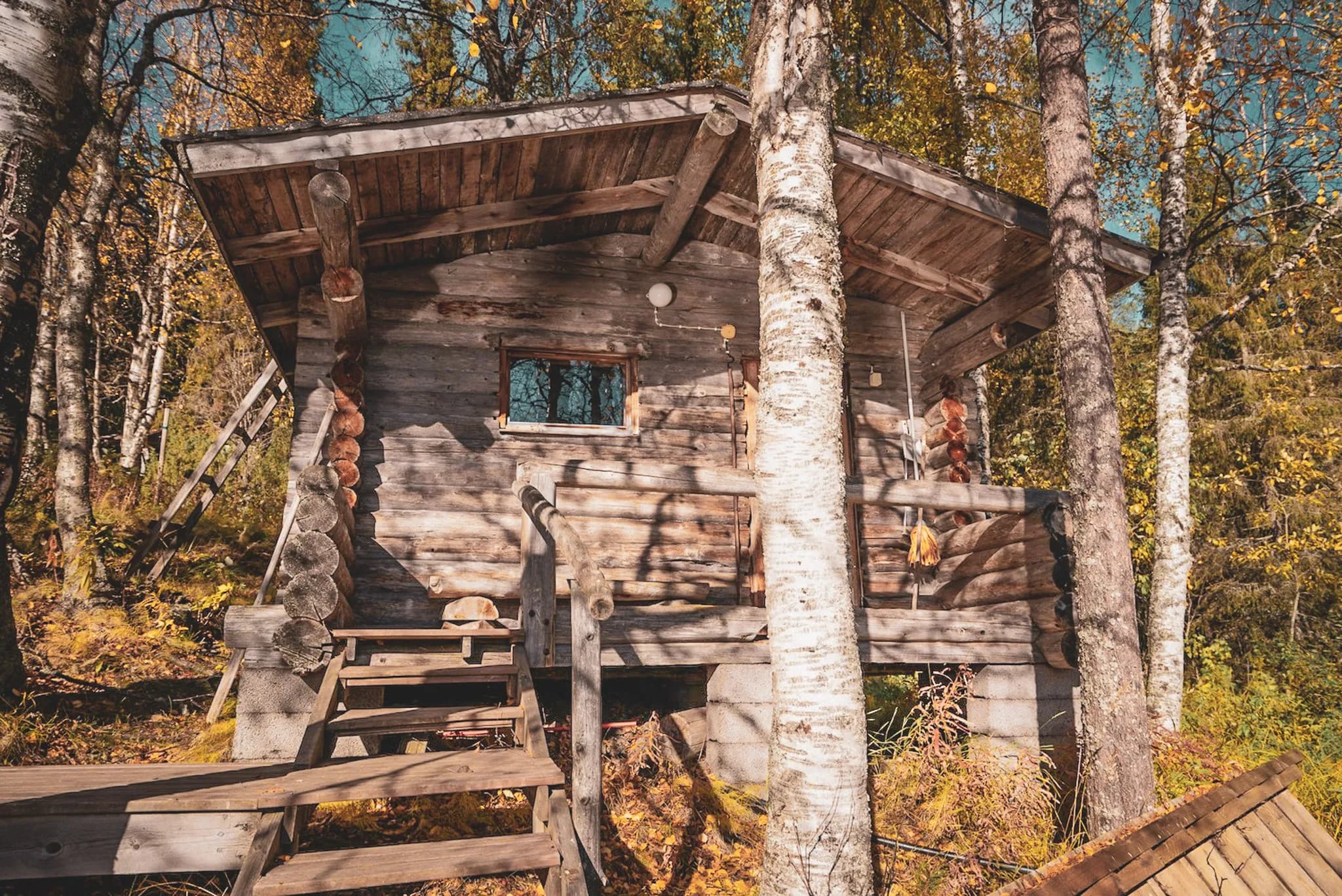 A wooden chalet, raised on stilts, is surrounded by spreading trees with autumn-coloured leaves. The building has a rustic architecture, with visible logs and a small balcony.