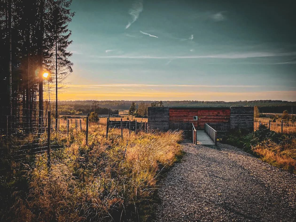 A gravelled path leads to a wooden structure, standing in the centre of a vast rural landscape. To the left, slender trees give a glimpse of the golden light of a setting sun. Wire fences