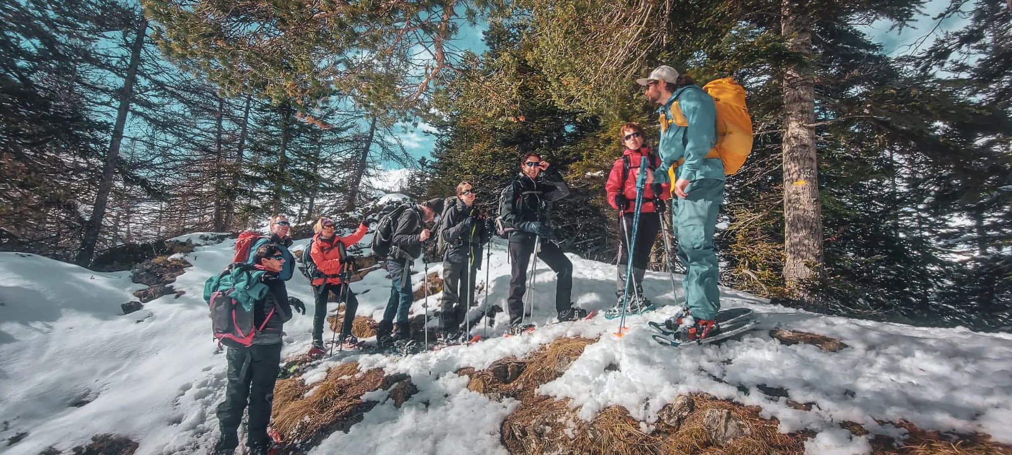 Een groep avonturiers op sneeuwschoenen onder een blauwe hemel, omringd door sneeuw en dennenbomen in Haute-Ubaye.