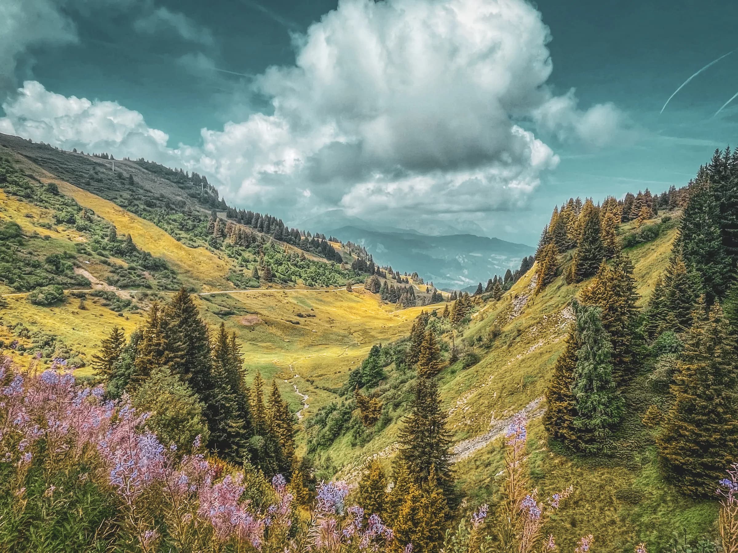 A verdant mountain landscape with gentle hills and coniferous forests. Pink wild flowers add a splash of colour to the foreground. The sky is dotted with white clouds, creating a