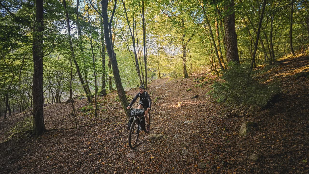 A cyclist rides through a green forest, surrounded by golden leaves and sunlight.